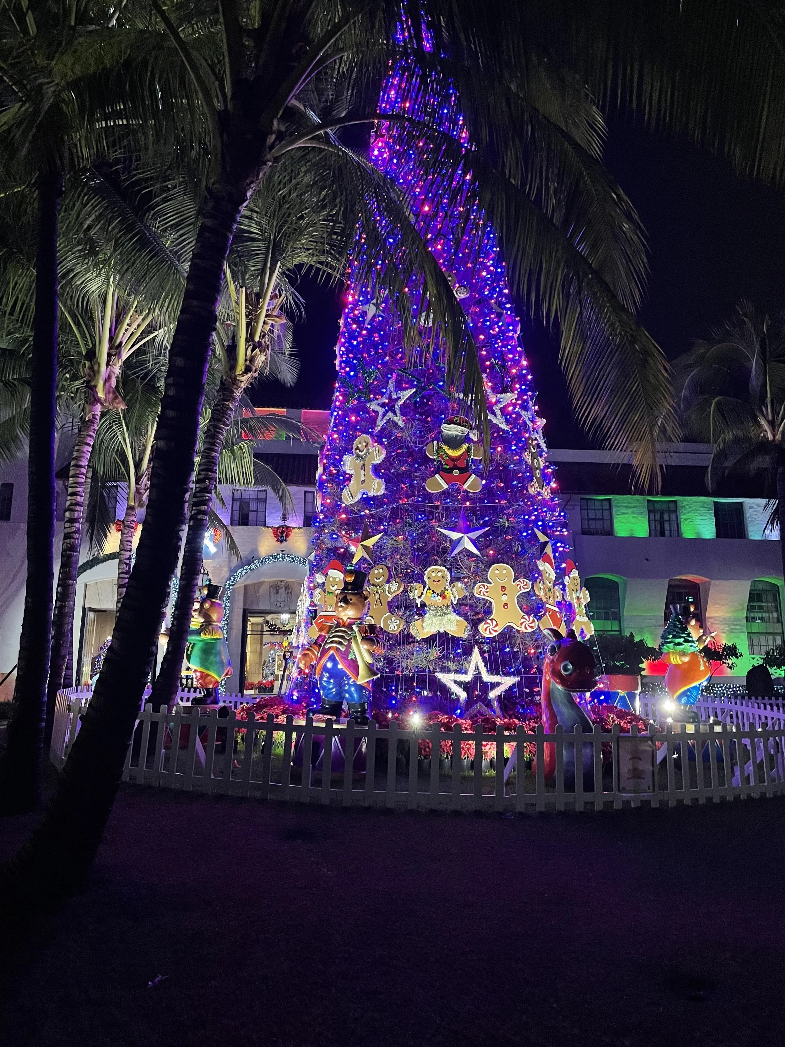 gli hawaiani amano natale anche se non nevica