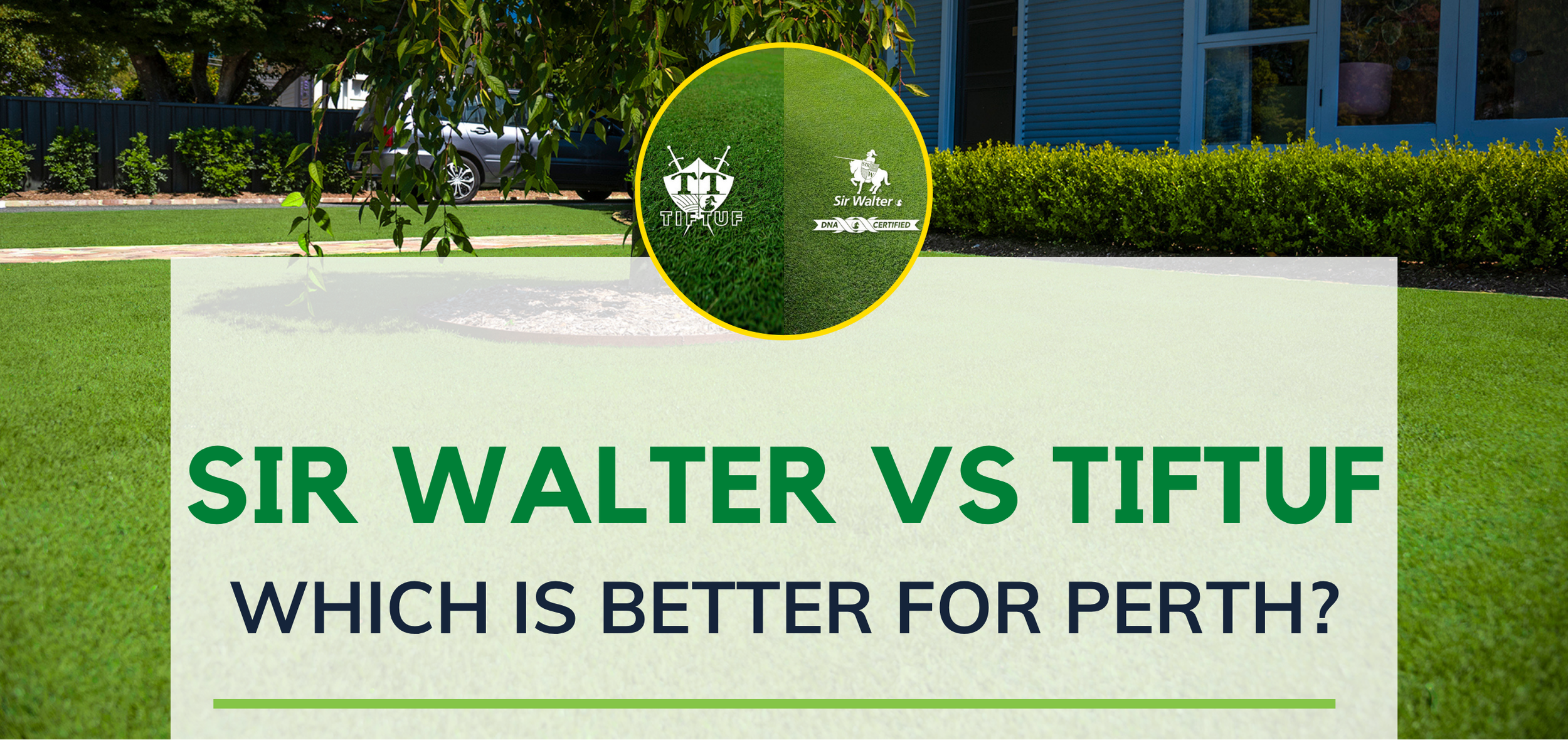 Sir Walter vs TifTuf - Which is better for Perth?