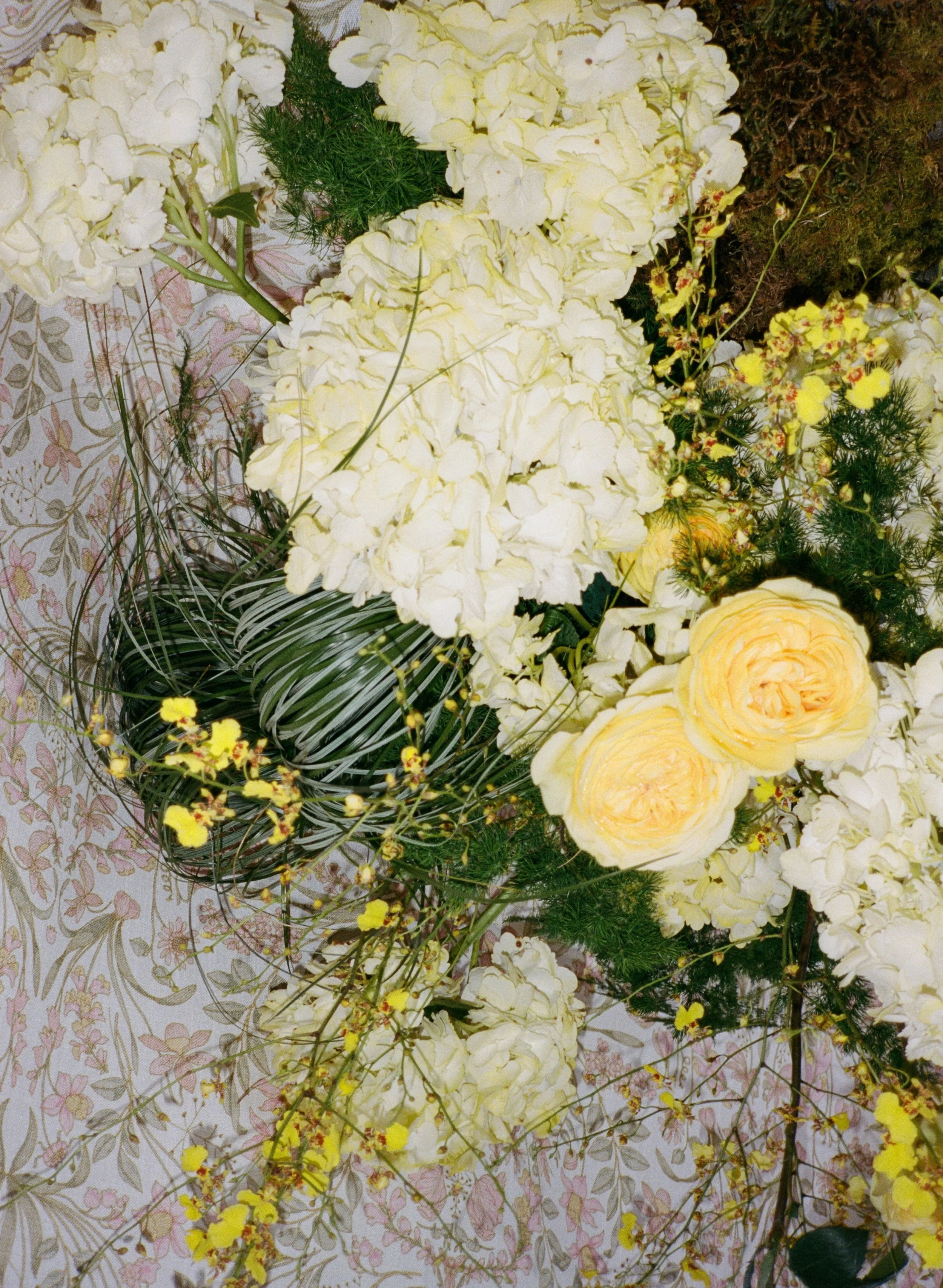jennyloseephotography (92 of 113).jpg