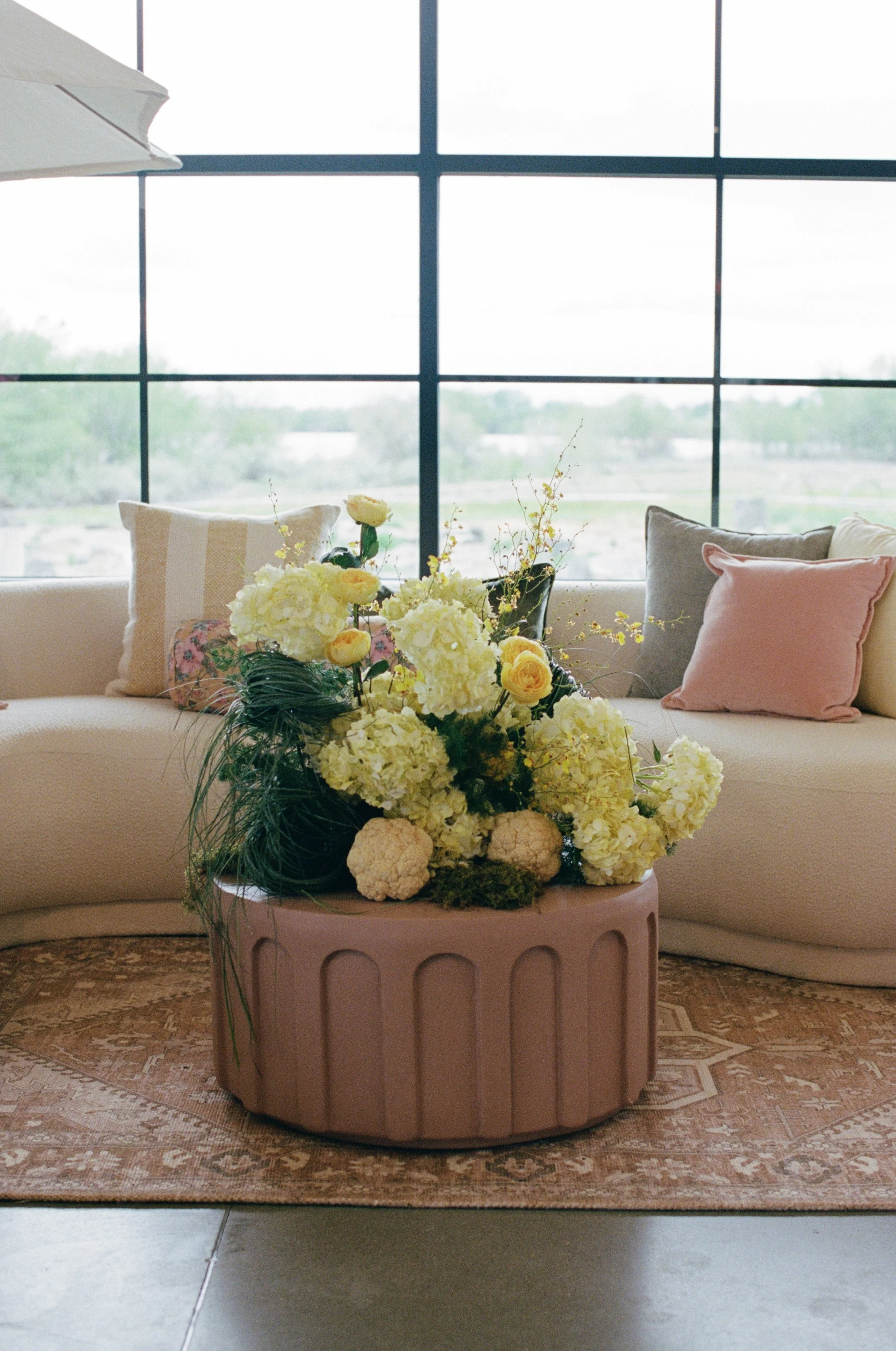 jennyloseephotography (62 of 113).jpg