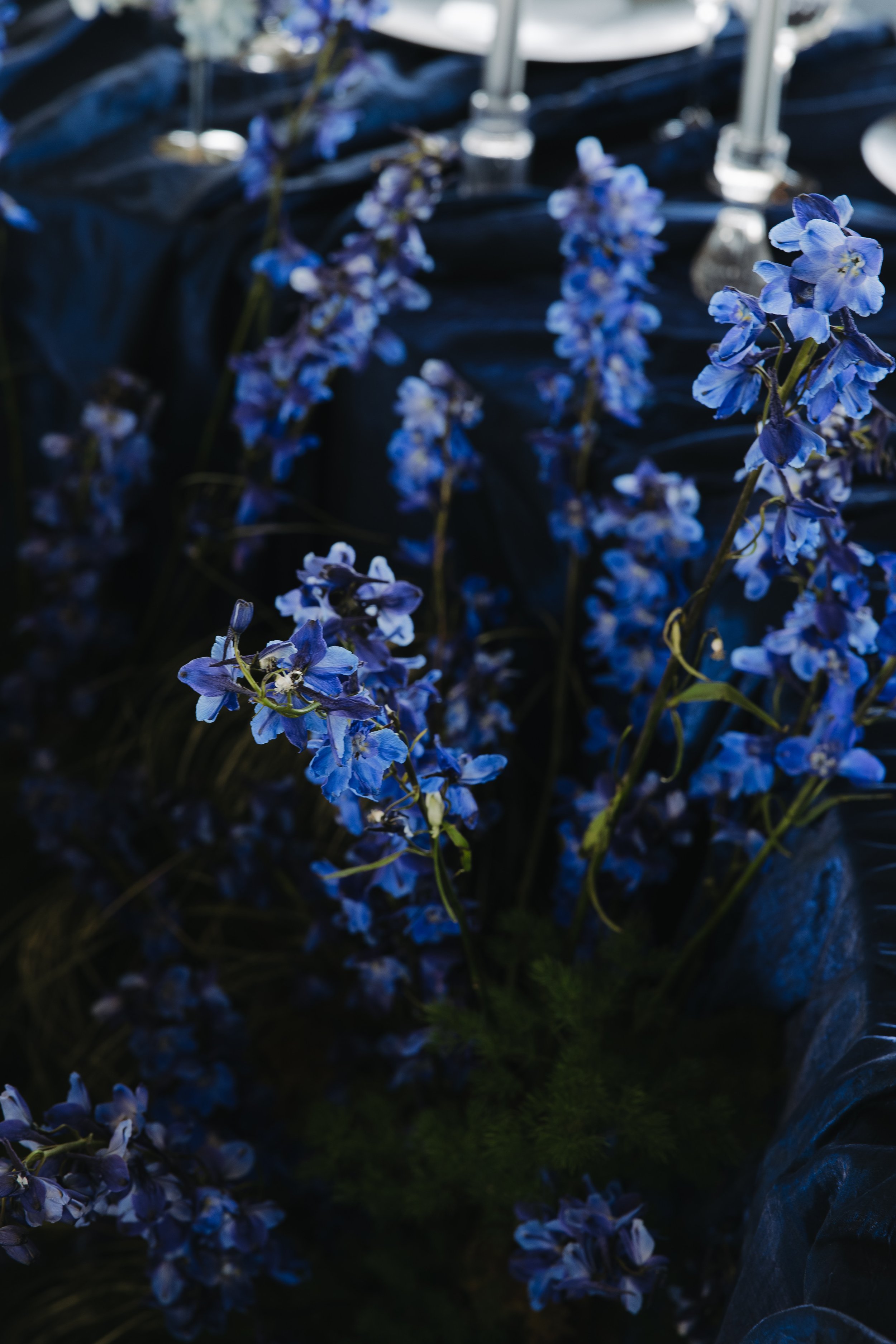 blue-140.jpg