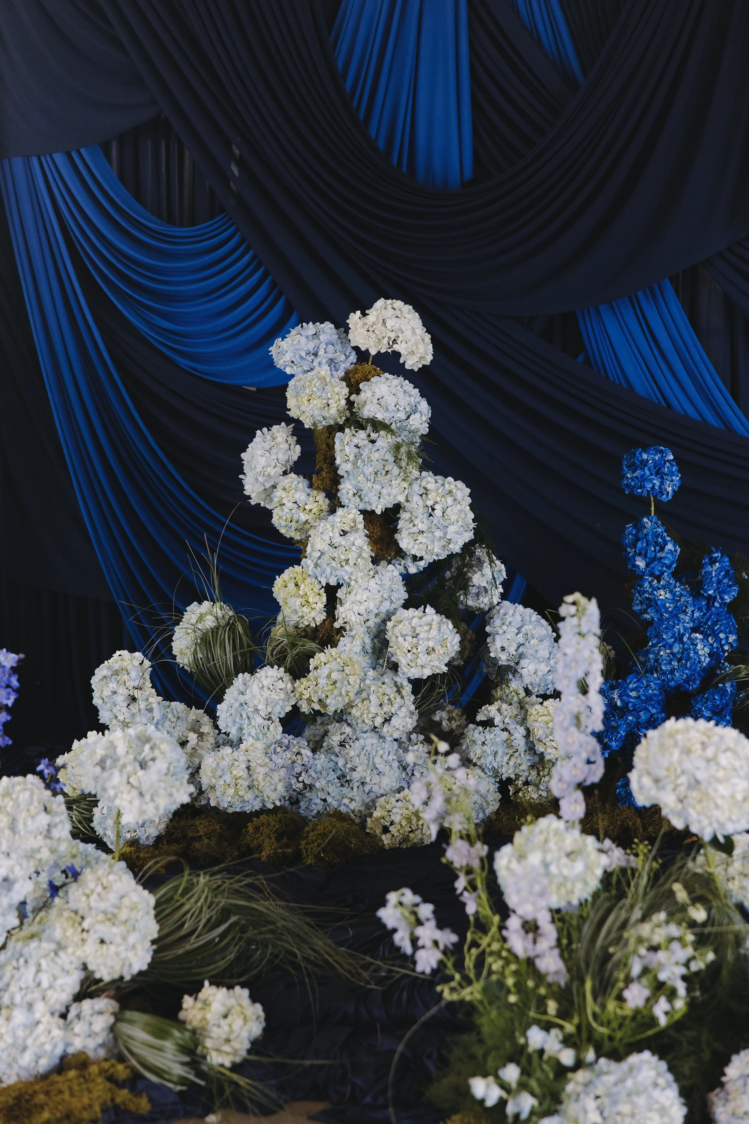 blue-153.jpg
