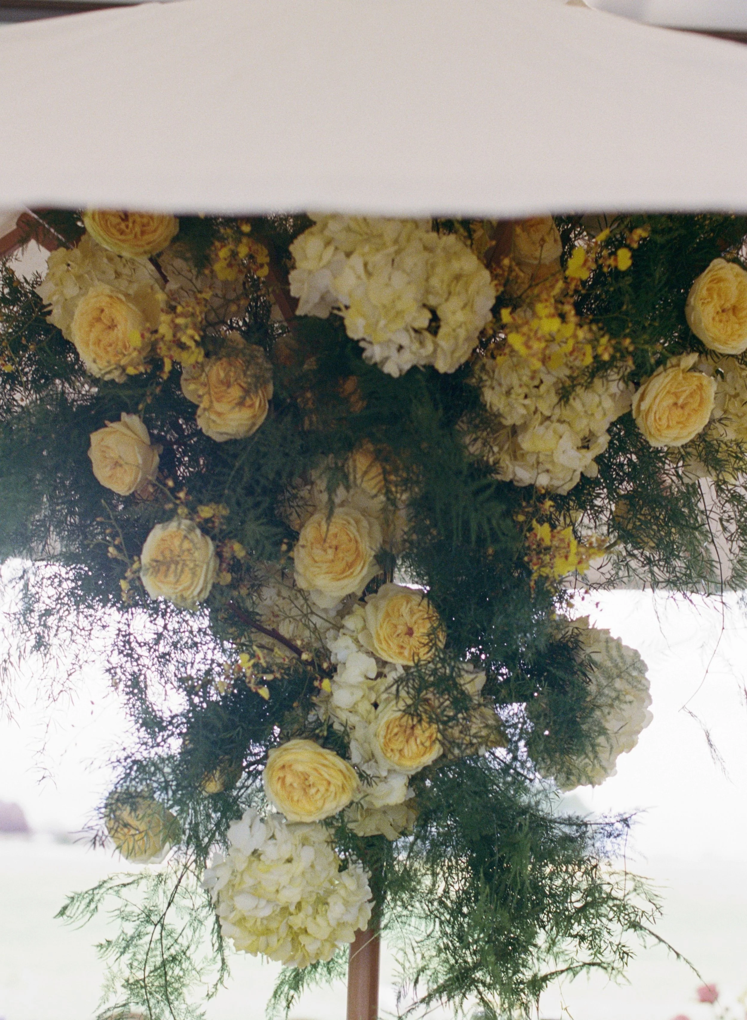 jennyloseephotography (86 of 113).jpg