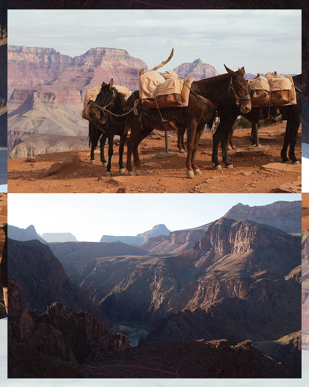 Photo collage, Grand Canyon (2025)