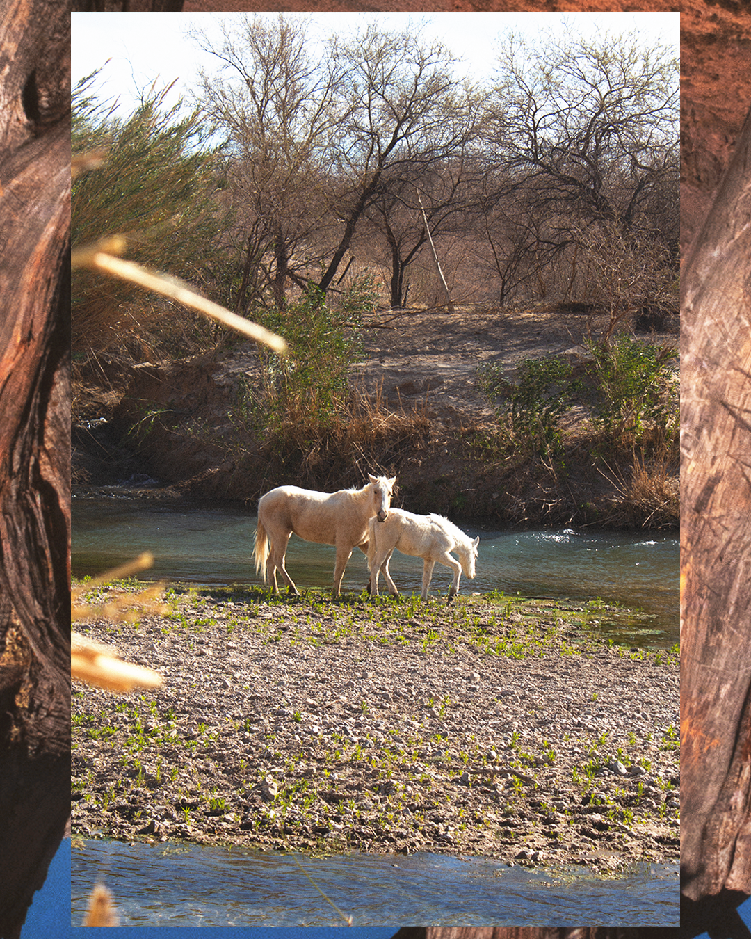 Photo collage, Big Bend (2025)
