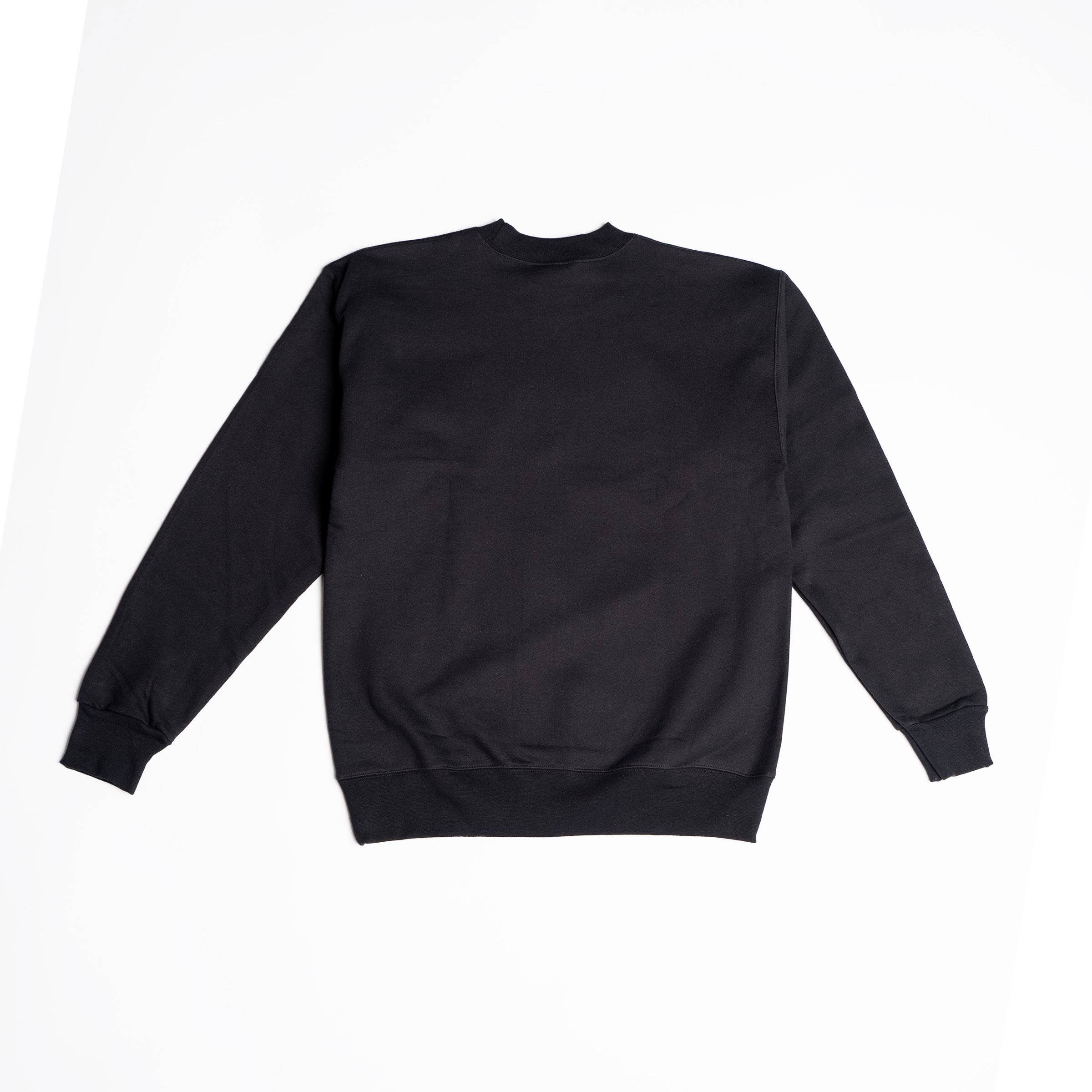 sweatshirtBack.jpeg