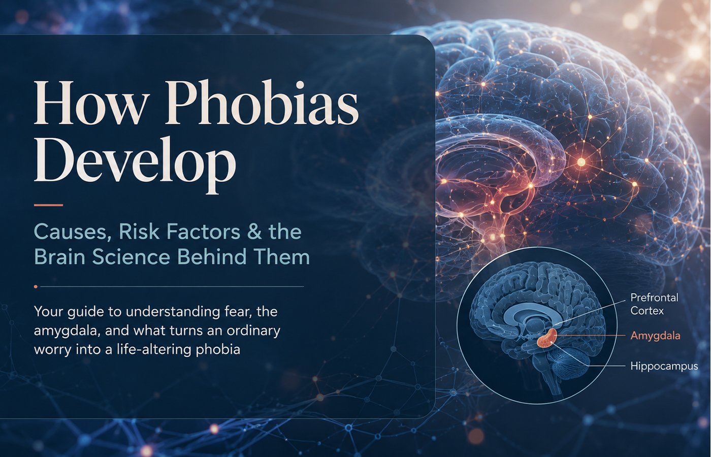 How Phobias Develop: Causes, Risk Factors, and the Brain Science Behind Them