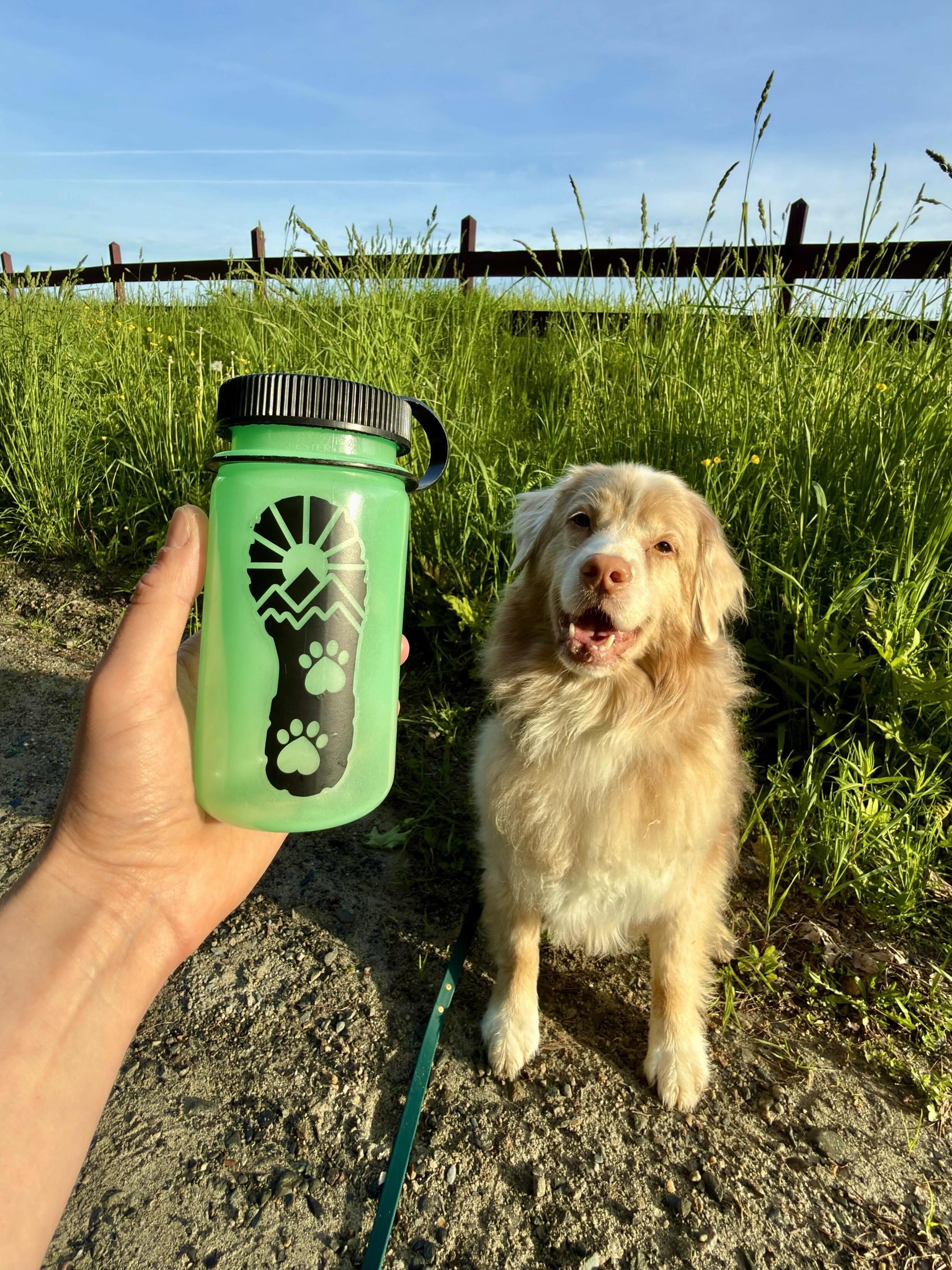 MARK YOUR CALENDARS!! 🗓️✍️ This Sunday, @603stix will be set up at Hurry Slow from 10am-1pm slinging stickers!

This isn&rsquo;t just any vending event. This one is FOR THE PUPS ✨🐾 

Not only will some of the proceeds from the @603stix sticker sale
