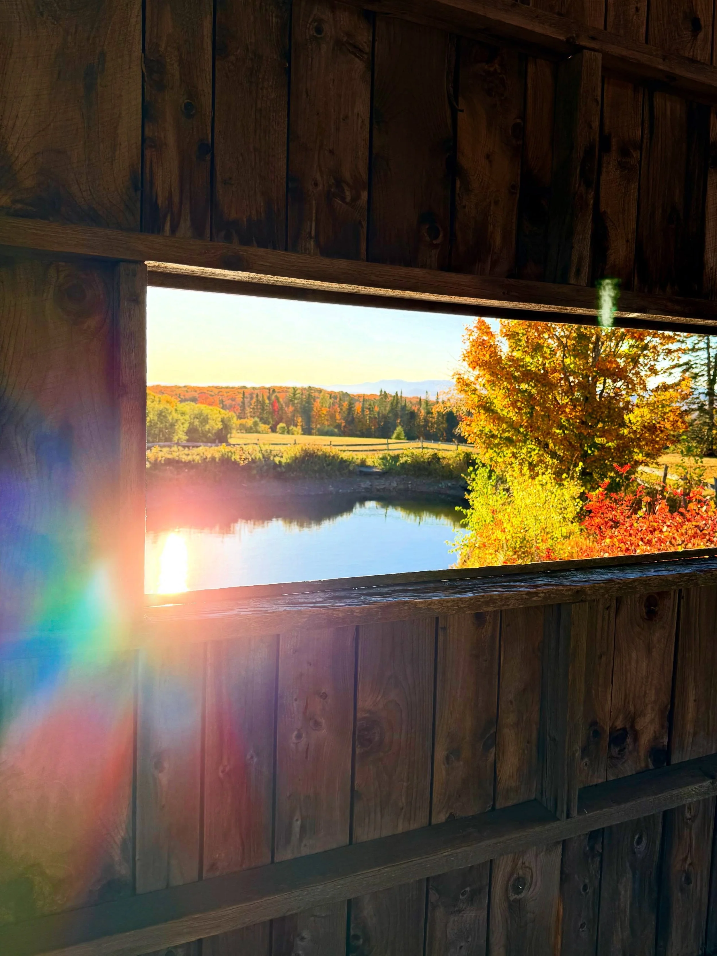 Is there anything more New England than peeping leaves from a covered bridge? 🍂☀️