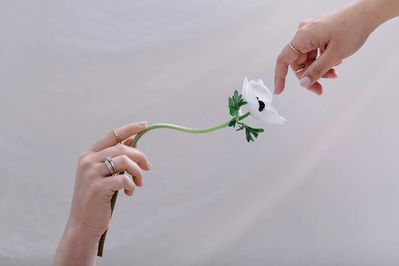 Montreal jewellery photography by Ella Mack