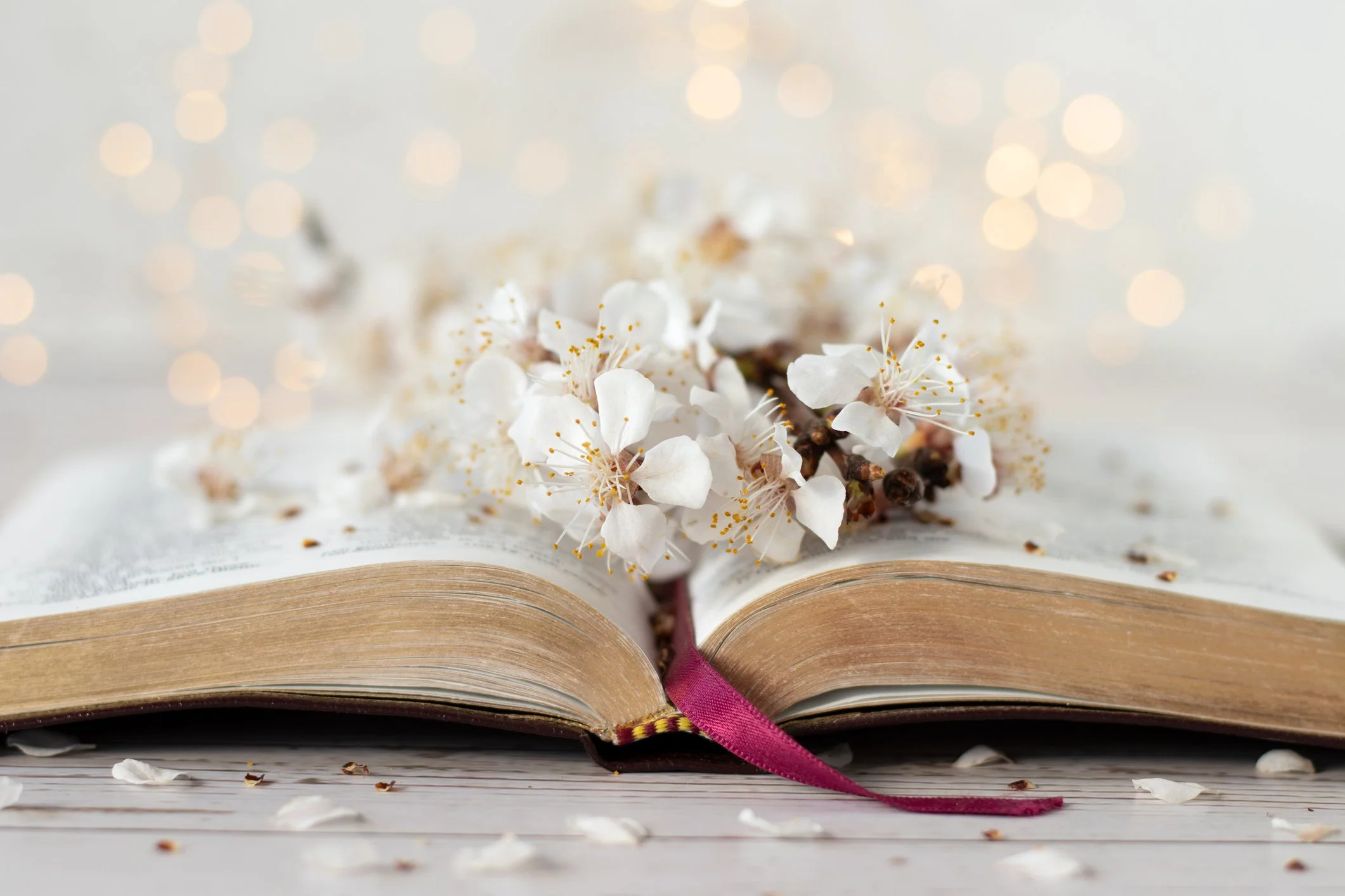 iStock-2206115874.jpg