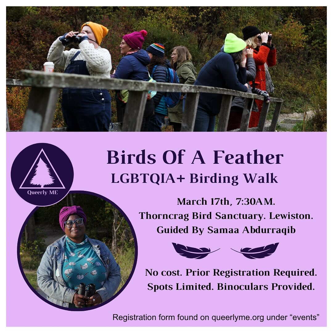 Join Queerly ME and Samaa Abdurraqib @rahmah500 for our early bird(ing) event, Birds Of A Feather! This event will happen at Thorncrag Bird Sanctuary in Lewiston at 7:30am, Sunday March 17th.

This is a no cost event. Binoculars will be provided for 