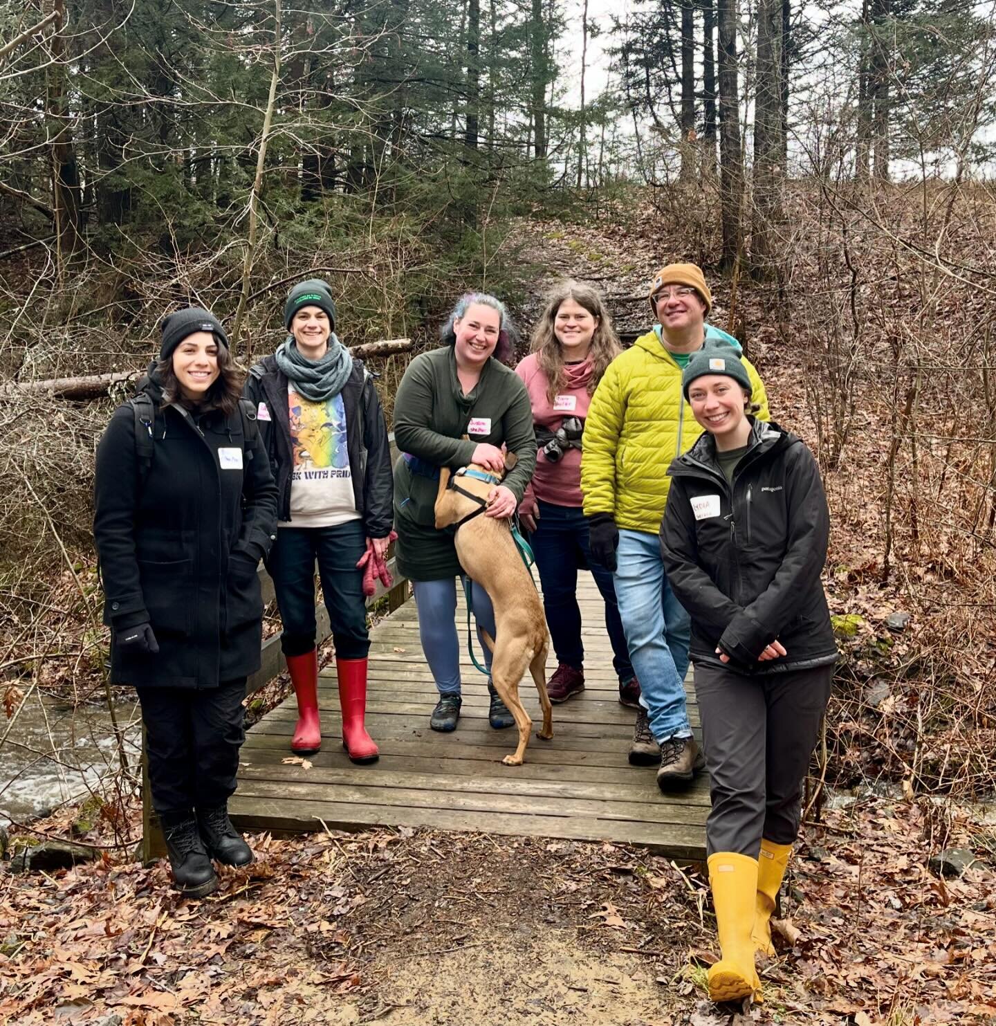 Our Trail Mixer with @brunswicktopsham last Sunday turned into an impromptu plant ID walk, as our small group ventured out during the end of a weekend storm to connect with nature in all of its muddiness.

Can you identify any of the plants / fungi w