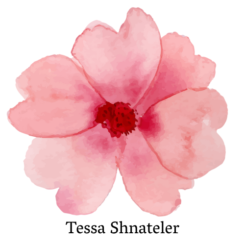 5.png