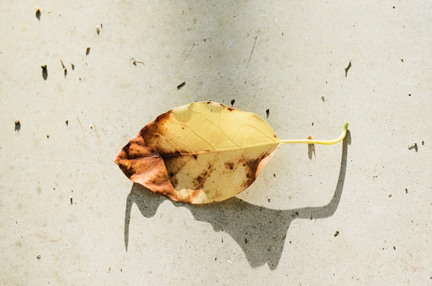 Silk Studio 9.jpg