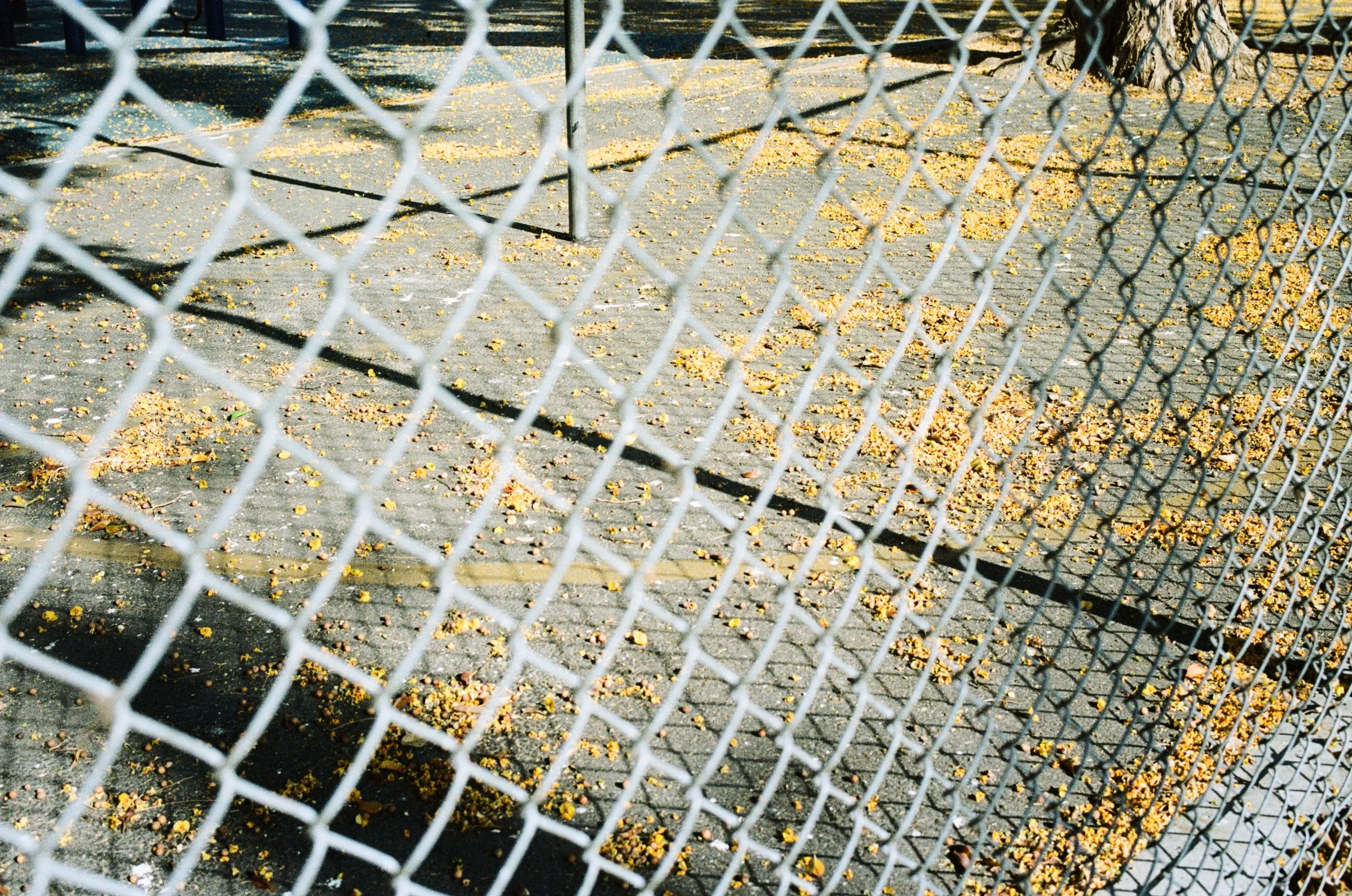Silk Studio.jpg