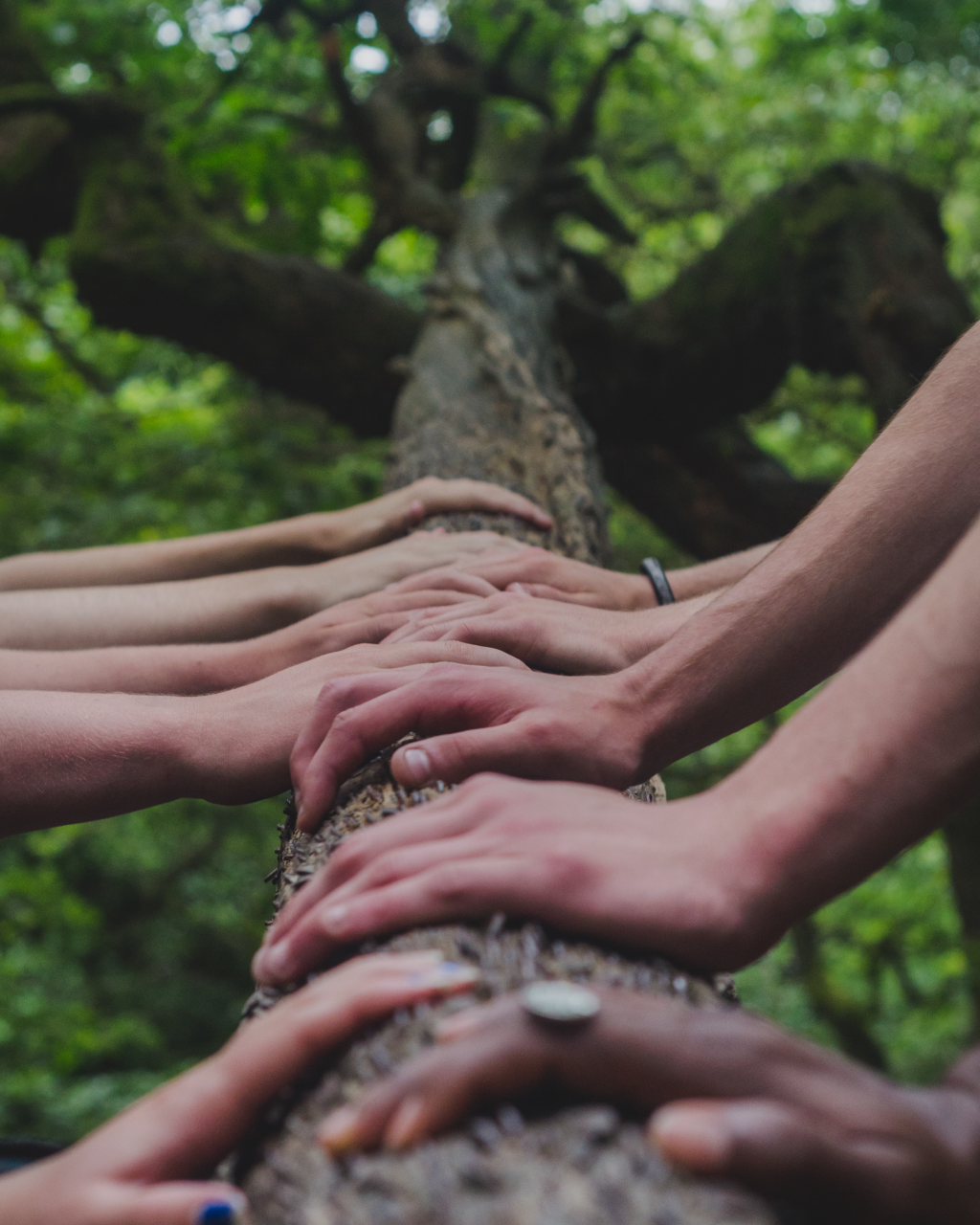 HANDS-HOLDING-TEE.png