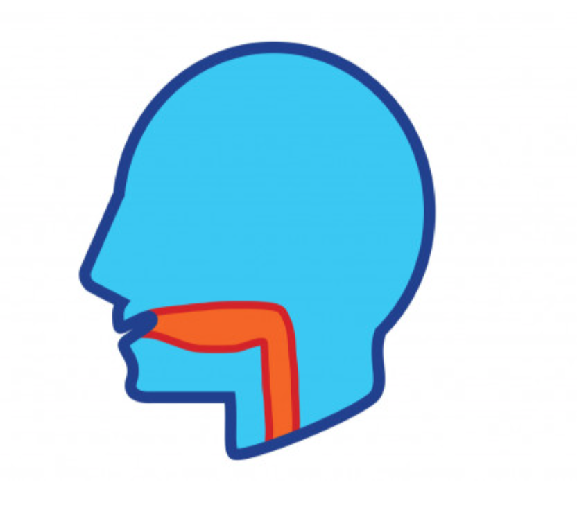 Novel AI Tool Offers Prognosis for Patients with Head and Neck Cancer