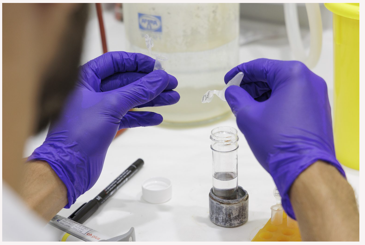 Could a therapeutic virus help immunotherapy work against head and neck cancer?