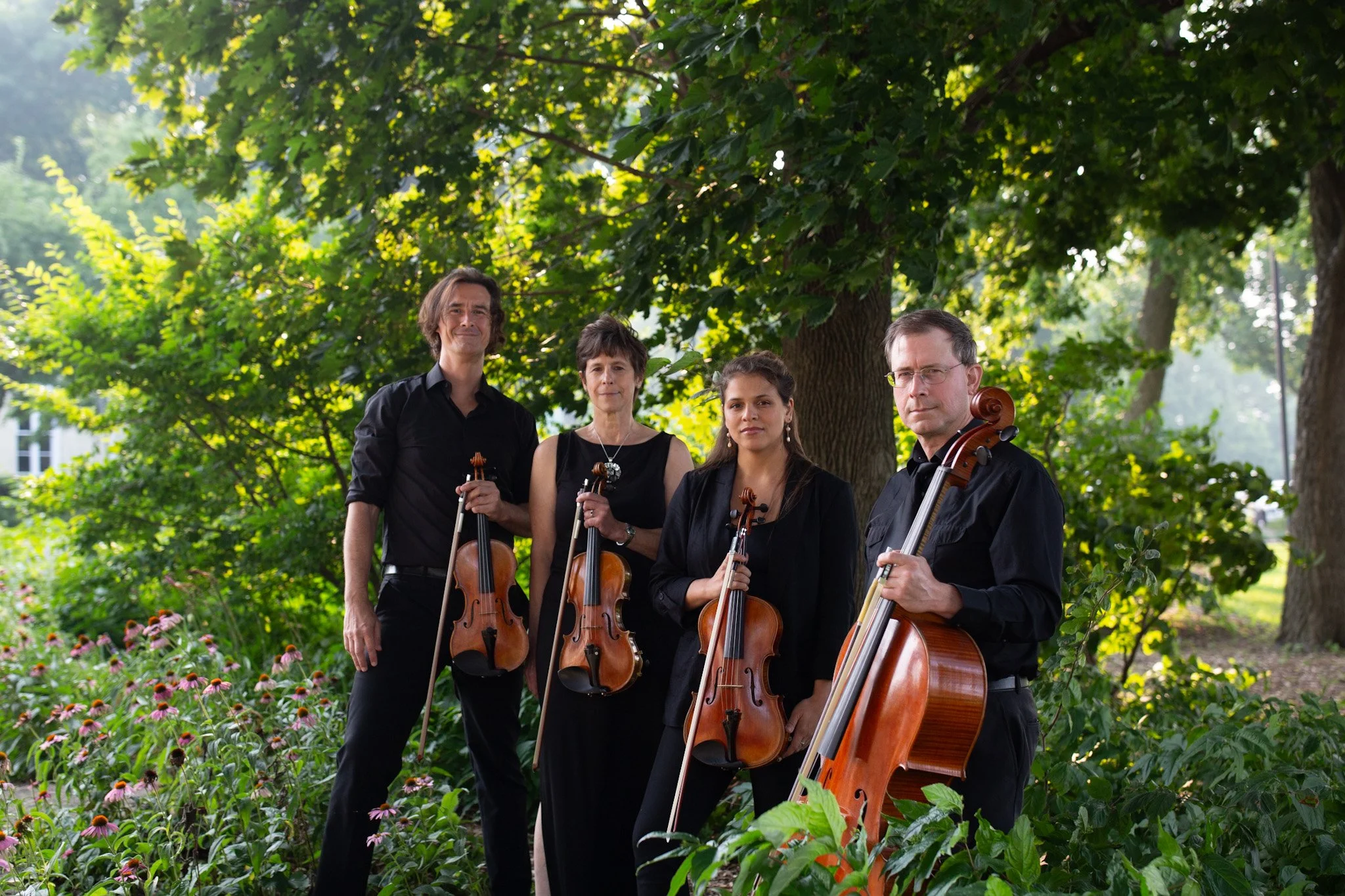 Ancora String Quartet at Café Carpe