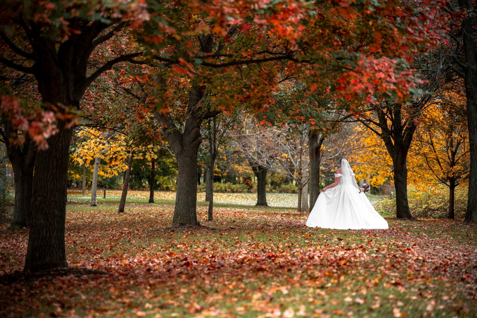 Embracing Fall in Troy, Michigan: The Perfect Time for Engagement & Family Photos