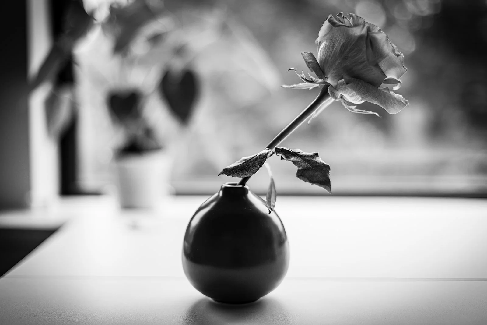 cA black and white image of a rose in a vase, representing themes of trauma and loss in the Whole Mother Story.