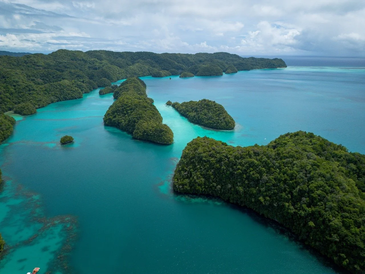 RacsoPhoto_Palau_Drone_0041.jpeg