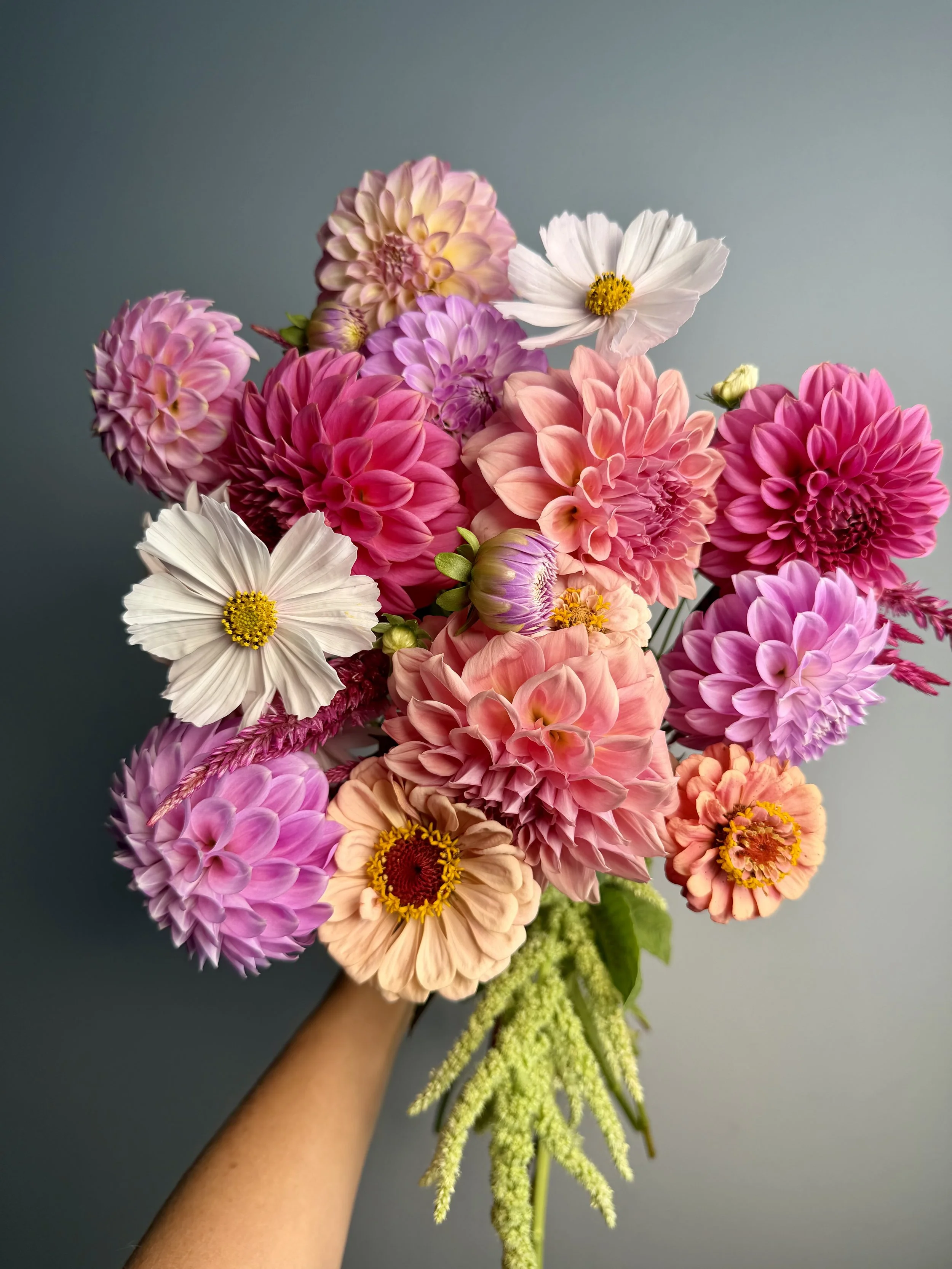 Florelie Gauva