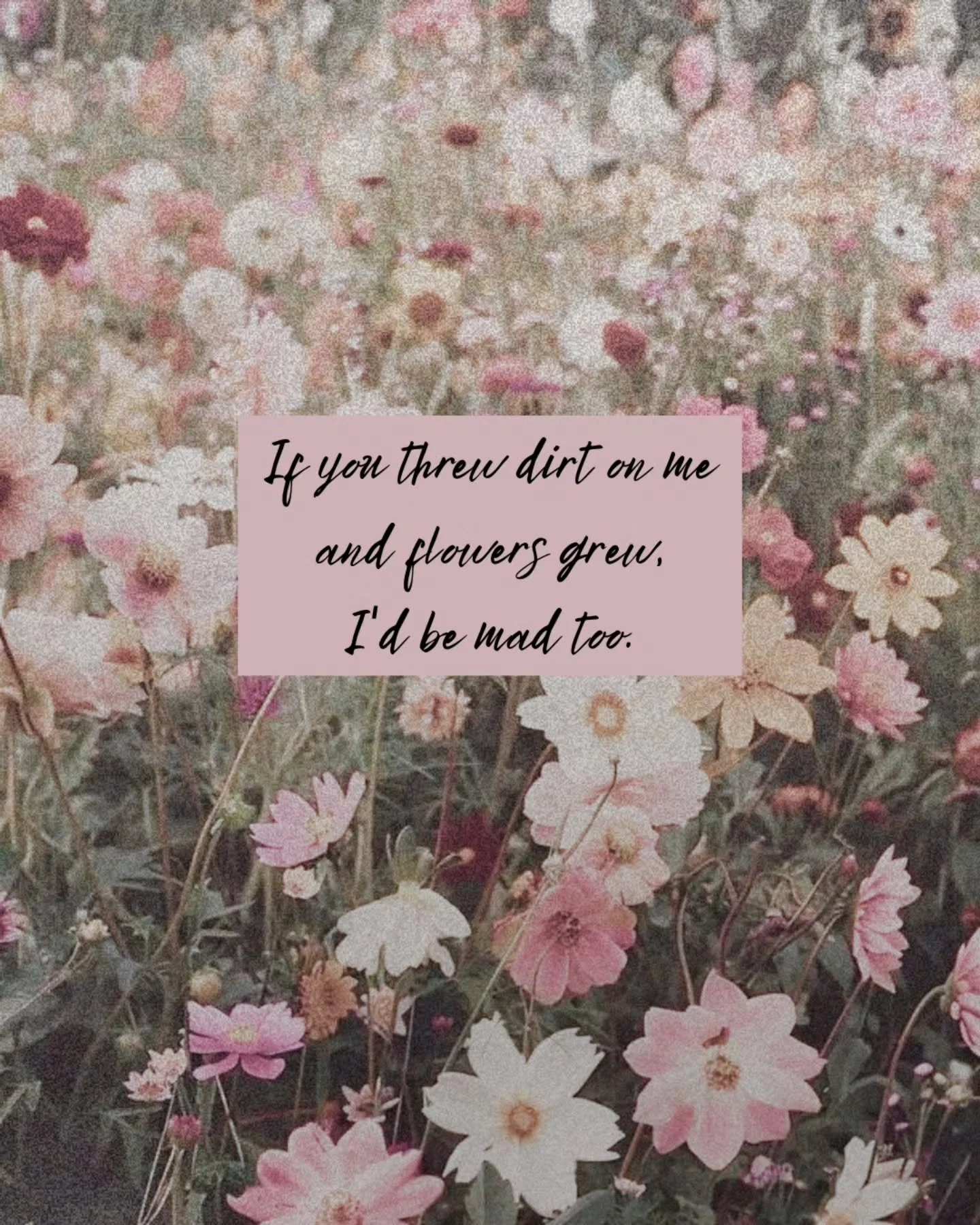 Loving this quote by someone that is not me 🌸

But imagine if we took all the hurt and kept turning it into something beautiful ✨️

Keep growing, no matter what 🌿

#growth #strength #resilience #bloom #beauty #transform #healing #empowerment