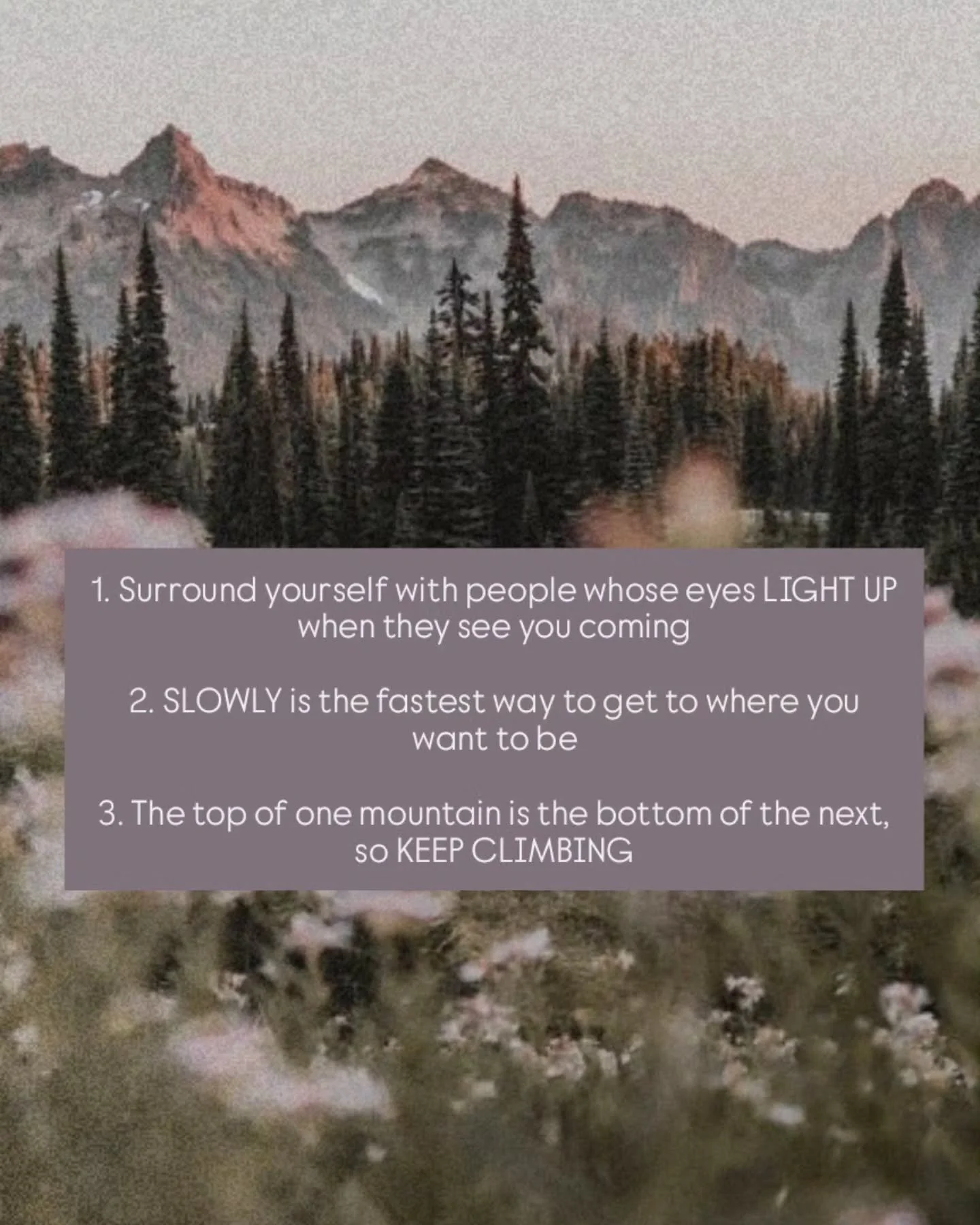 Andr&eacute; De Shields shared these three cardinal rules for sustainability and longevity that really highlight 3 things that are important to me - supportive connections, patient progress and continuous growth 🌱

So here they are to remind you to 