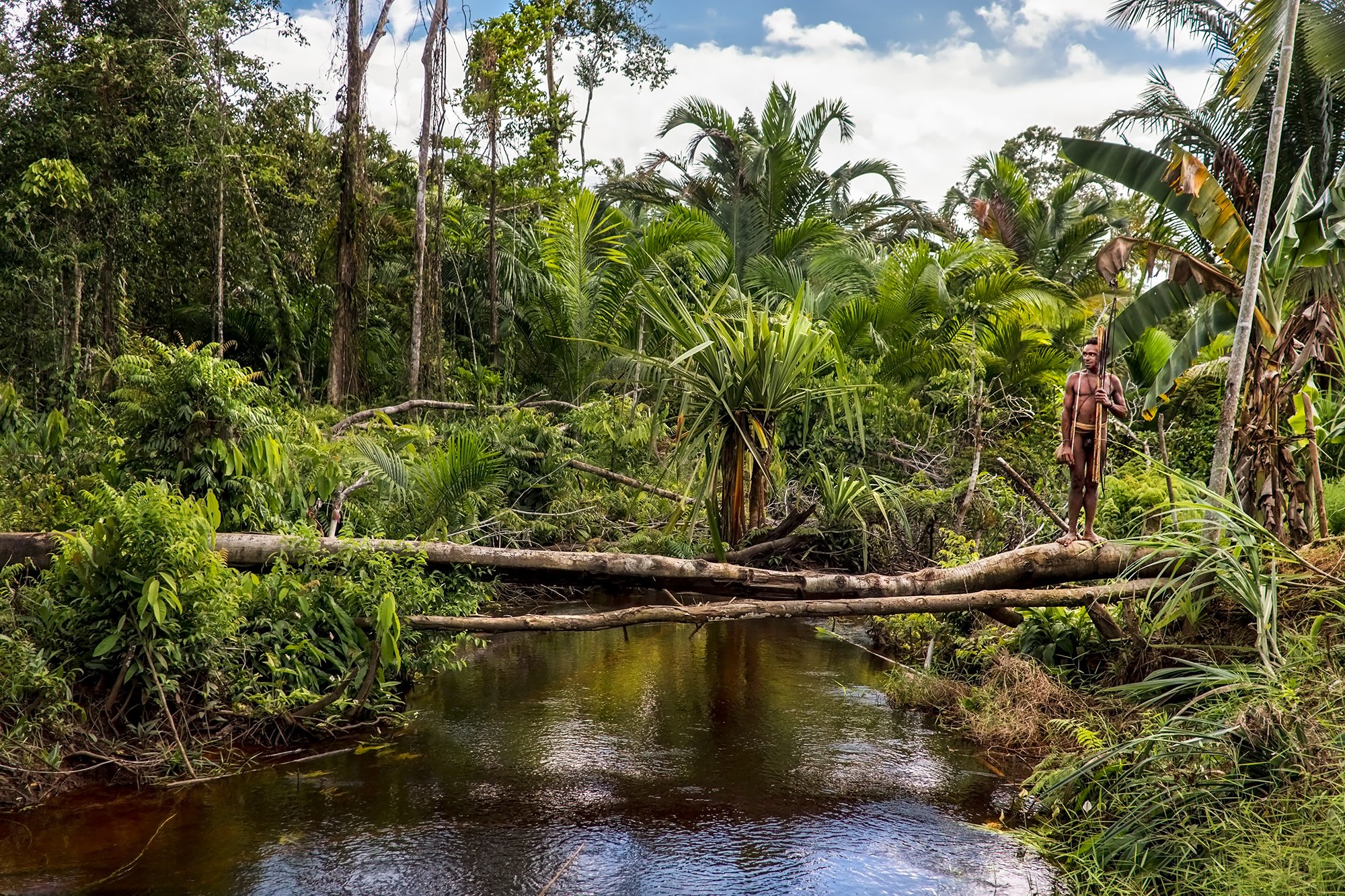 The Korowai - Papua  (Cod. QL003)