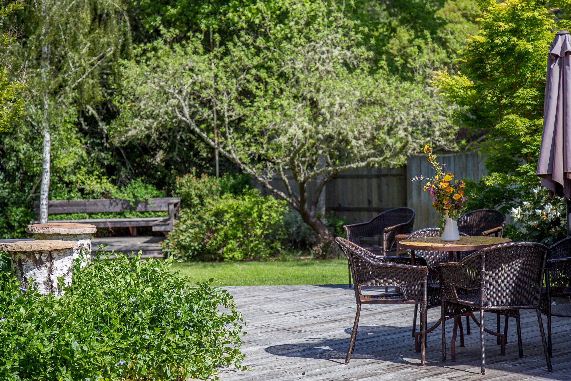 Toll House & Bunkhouse - Backyard.jpg