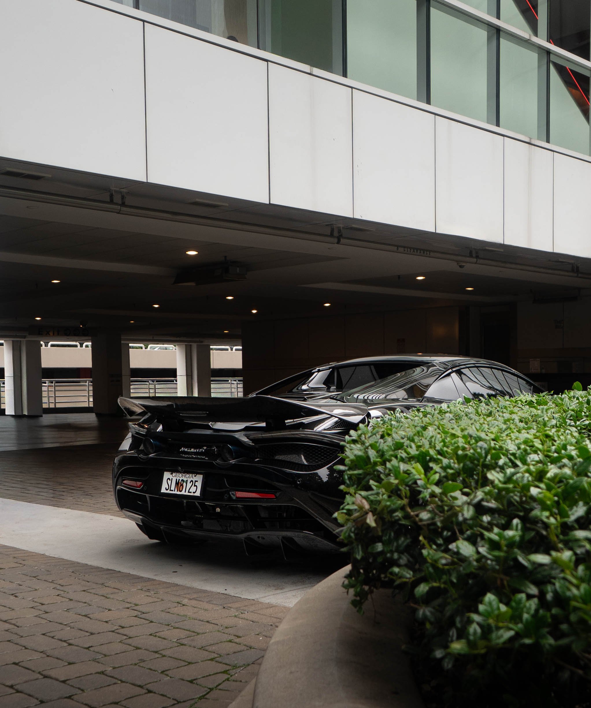mustang-05256.jpg