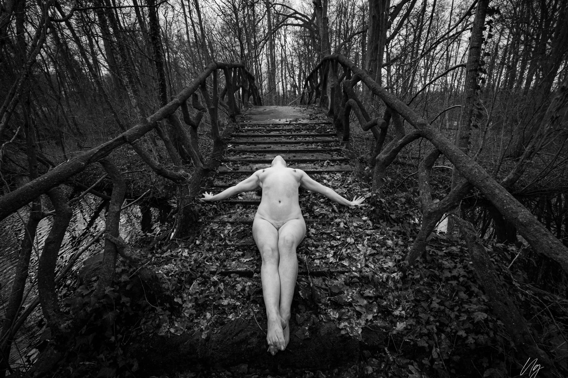 NG_Bridge Between Worlds_Evita-DSC09226_edit.jpg