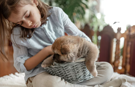 Learn how to support your child pet loss grief with Psychologist & Counsellor, Ewelina Sawicka, of The Counselling Place Singapore