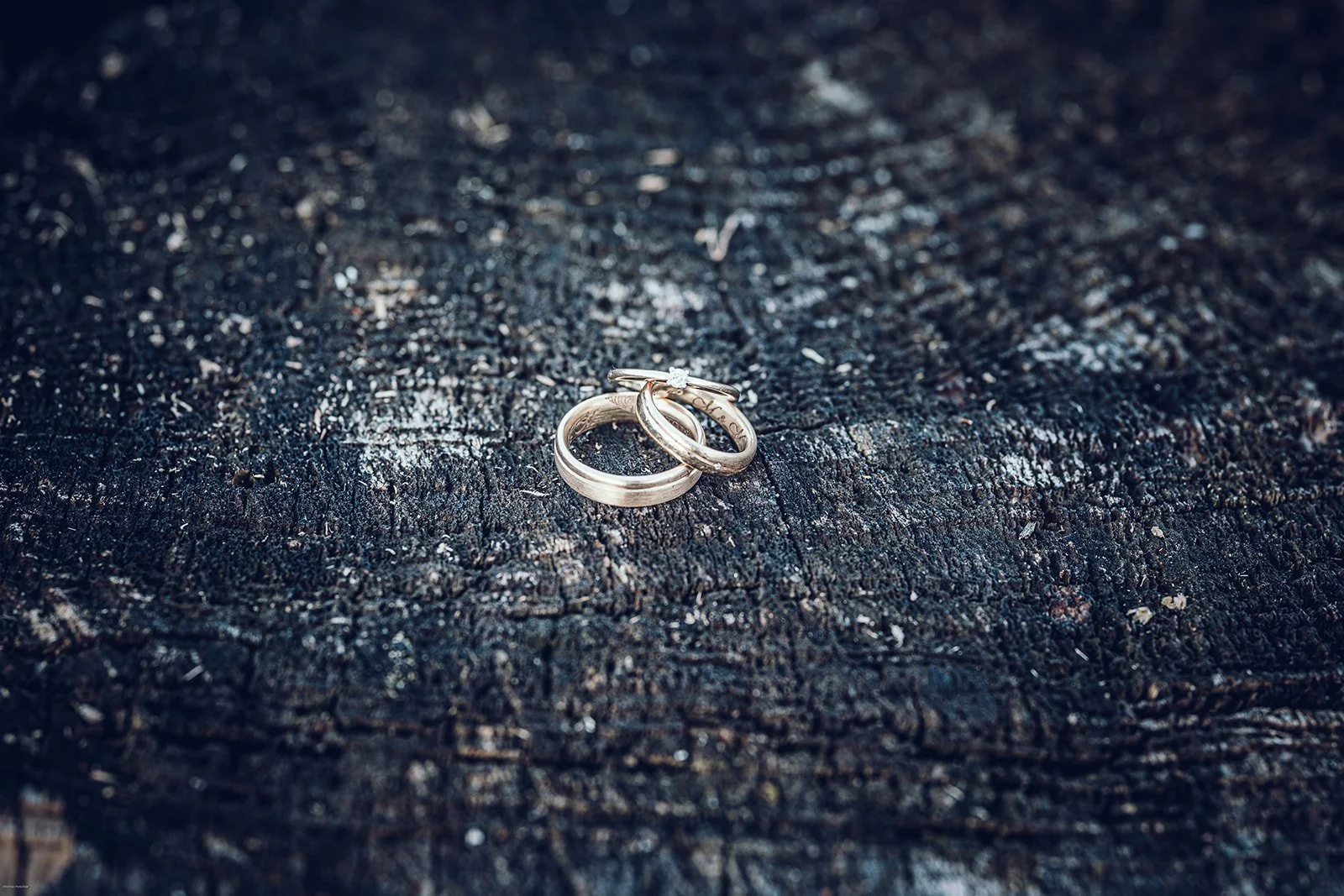 Hochzeitsringe – Eheringe als Symbol der Verbindung, fotografiert in ruhiger Bildsprache
