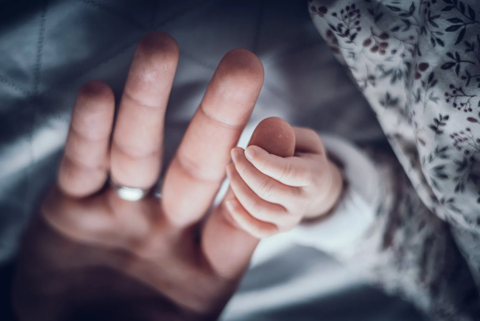 Neugeborenes hält die Finger von Papa – Newbornfotografie in München