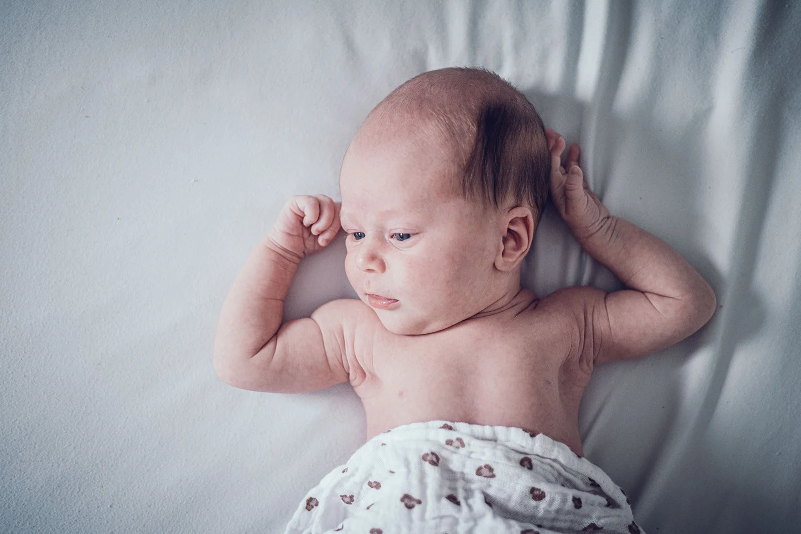 Neugeborenes im natürlichen Licht, ruhig und geborgen.
