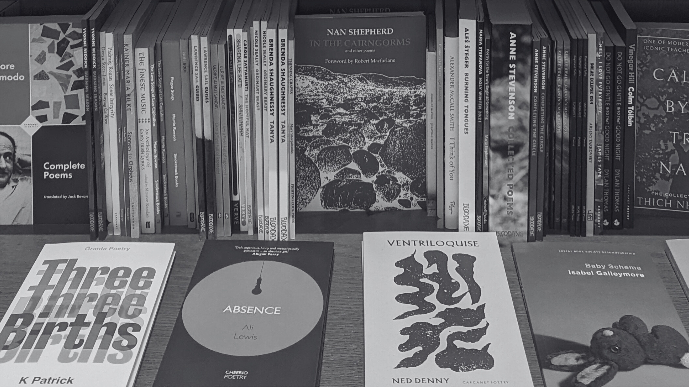 Unpopular Opinion: To Write a Poetry Collection, You’ve Got to Read a Lot of Poetry Collections