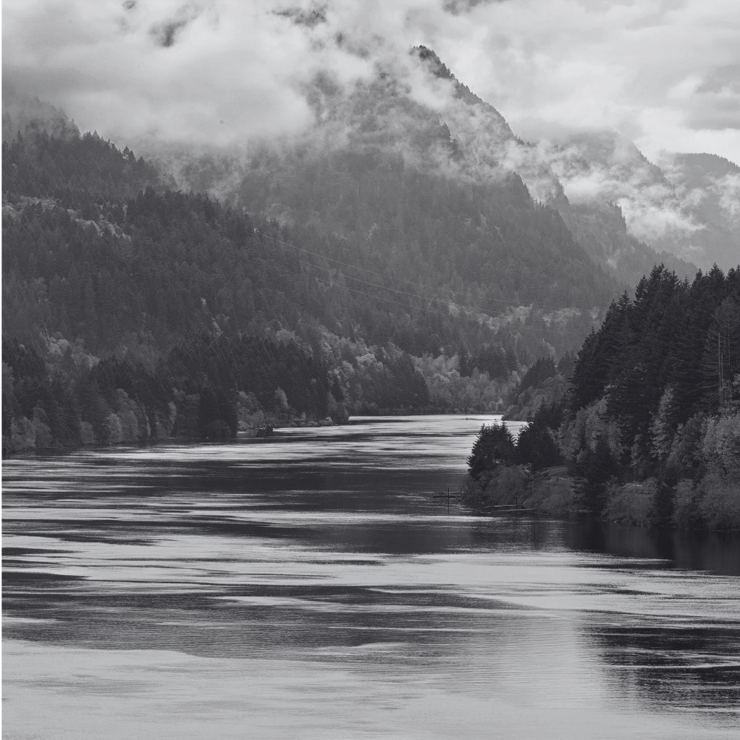 The River