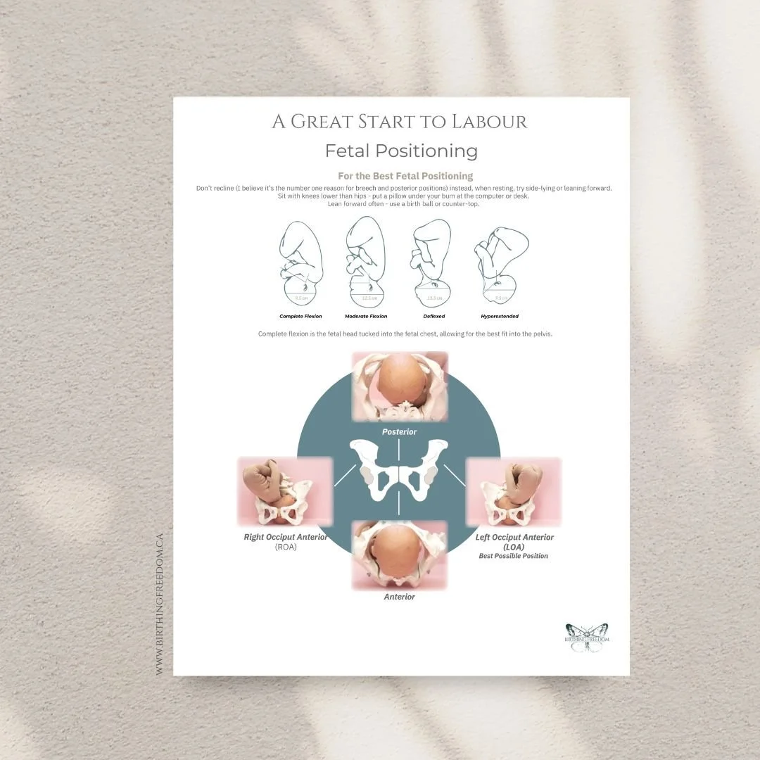 A Great Start to Labour: Fetal Positioning — Birthing Freedom ...