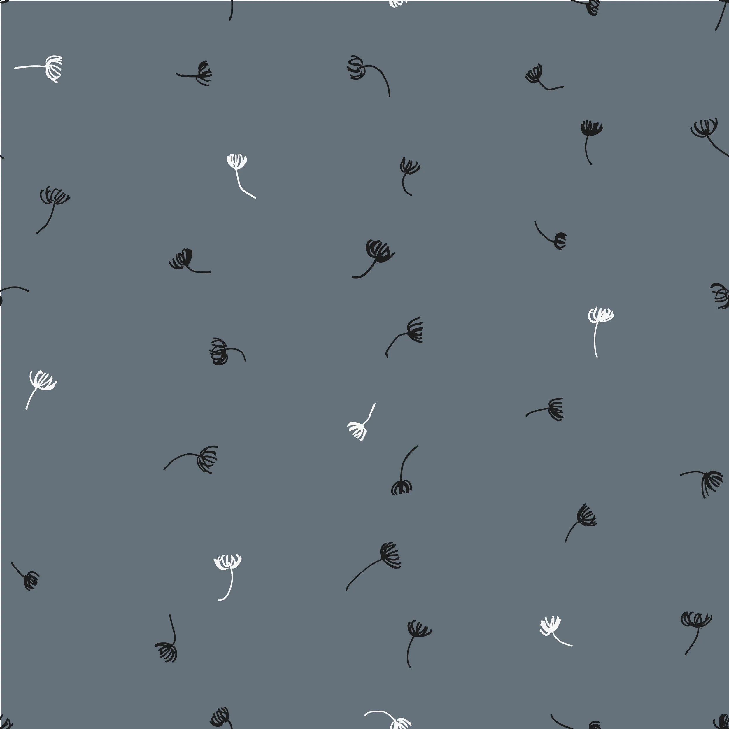 Seed Rain