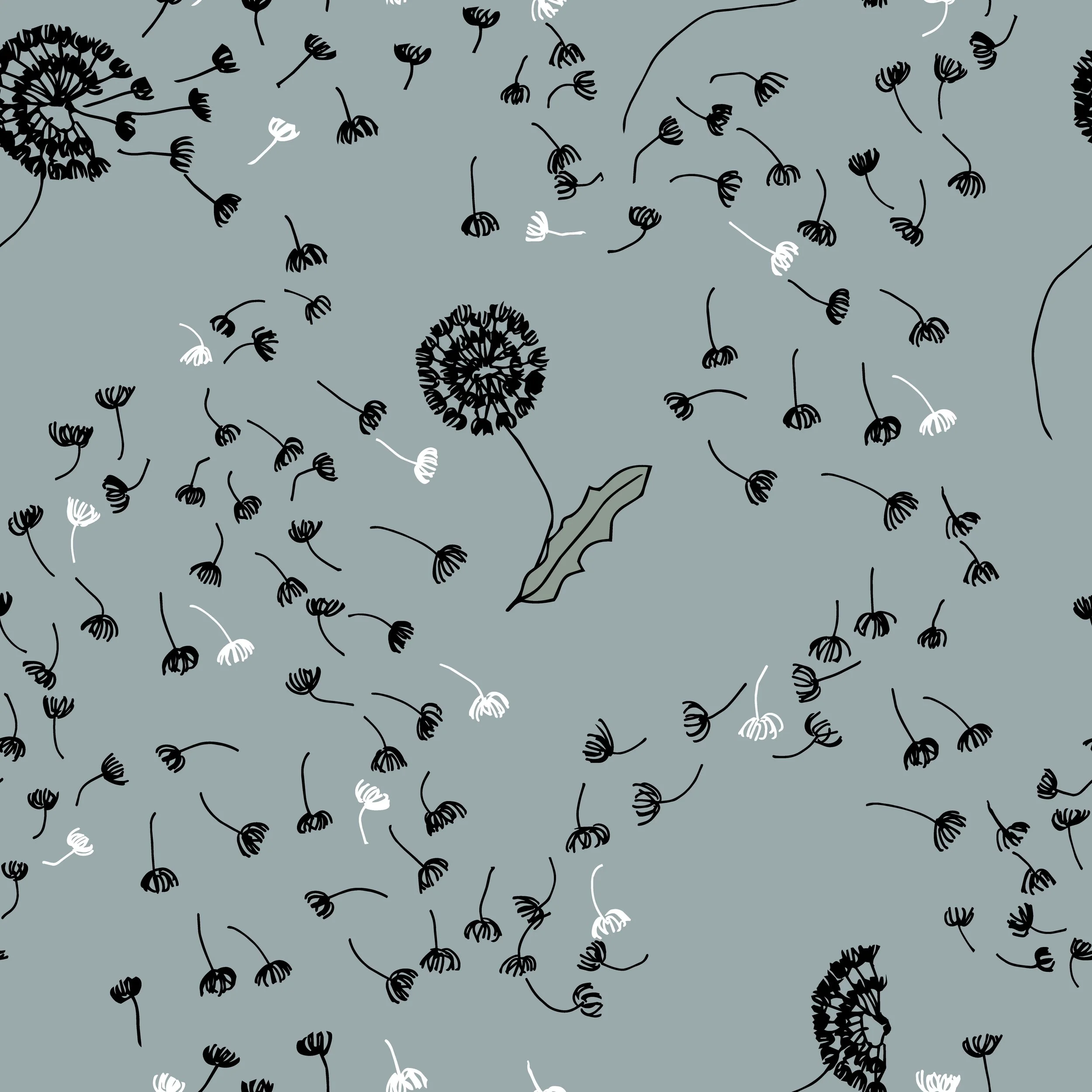 Dandelions and floating seeds