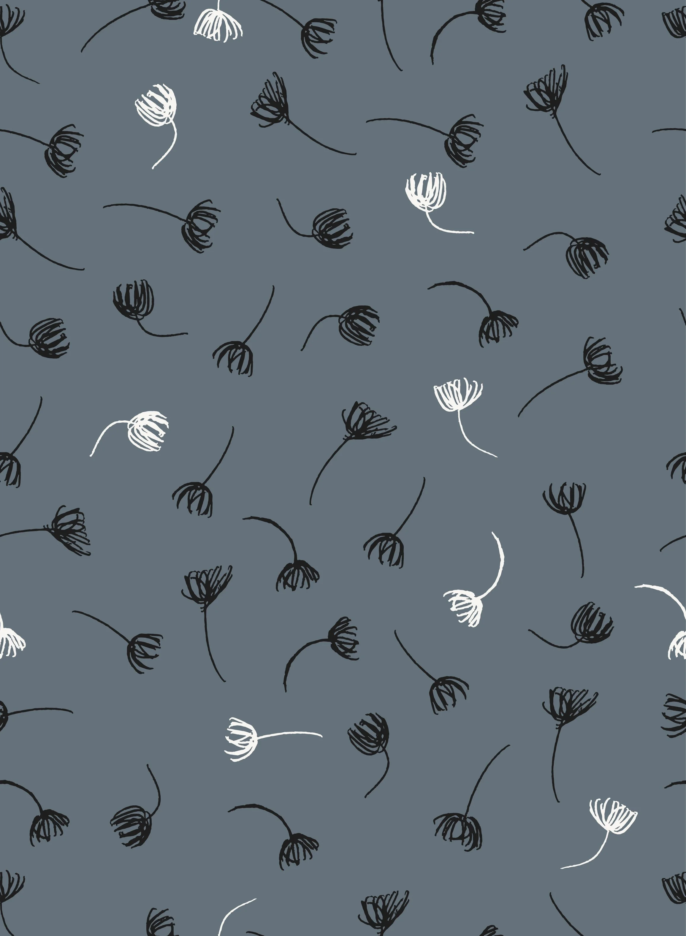 Seed Scatter - Night
