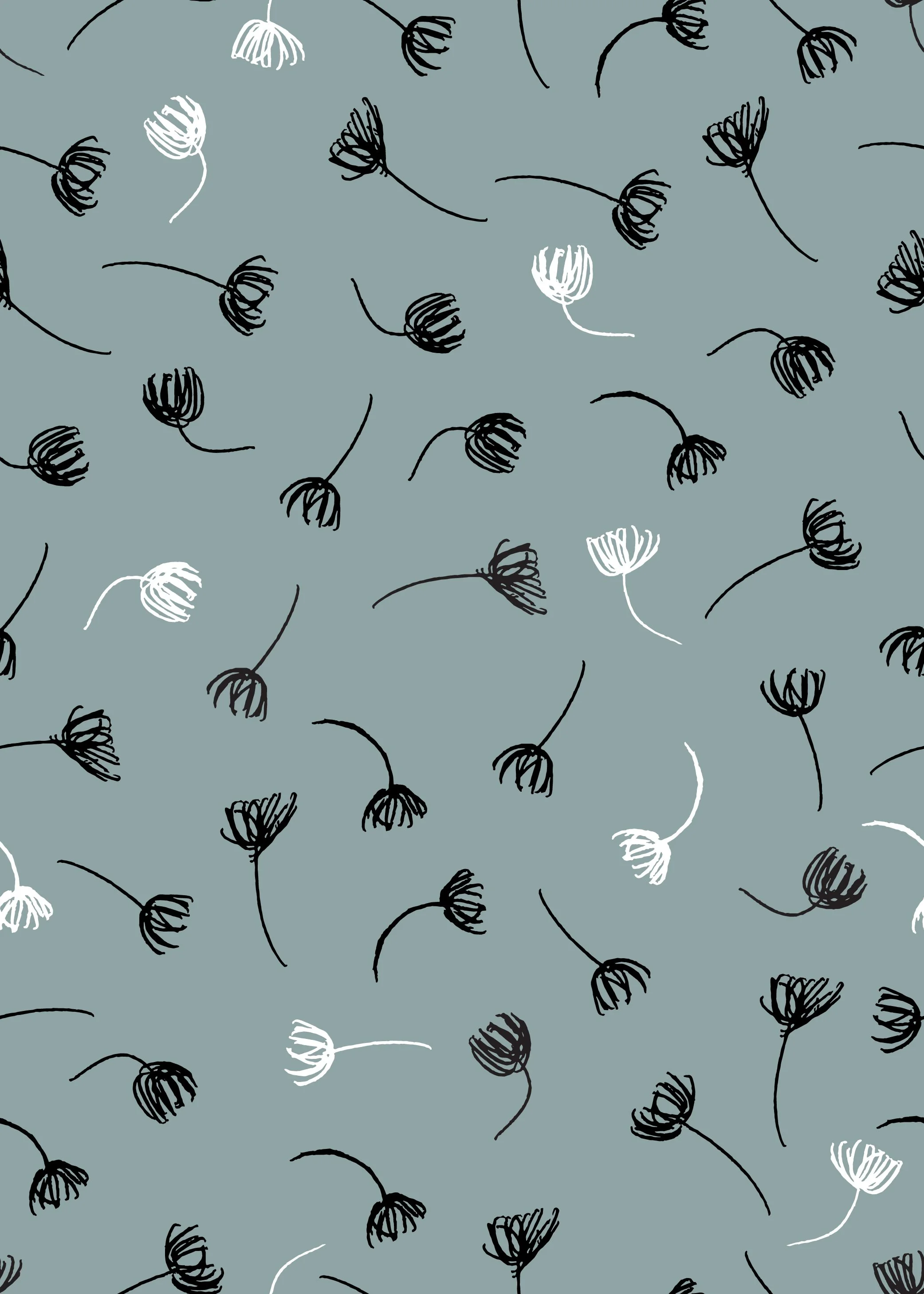 Seed Scatter
