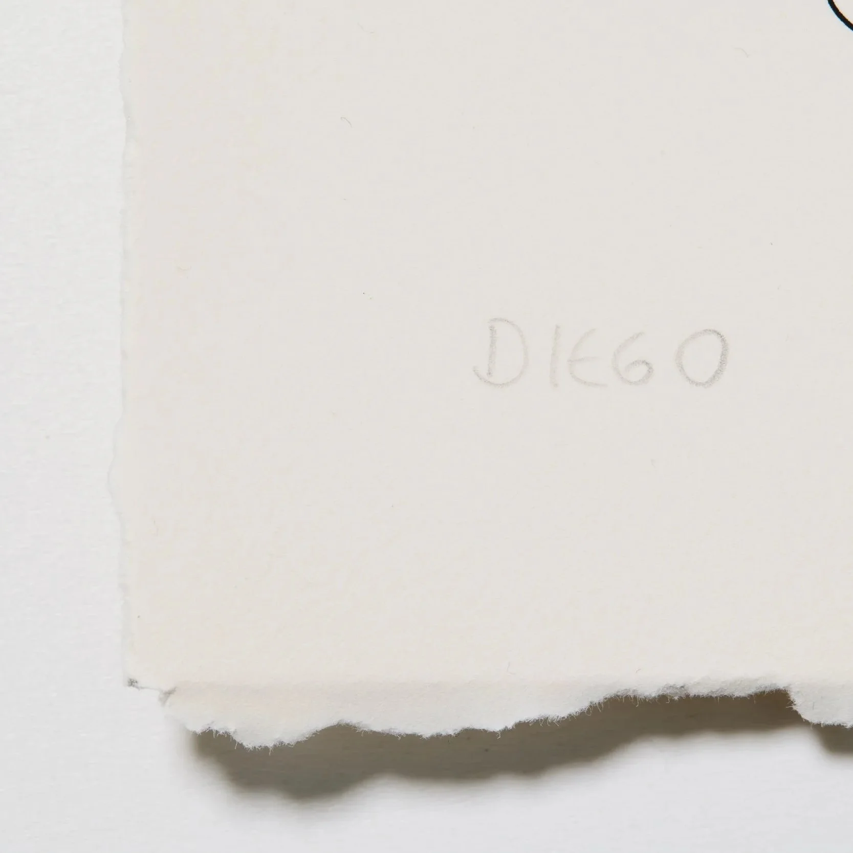 We+Are+Here+Large-0031.jpg