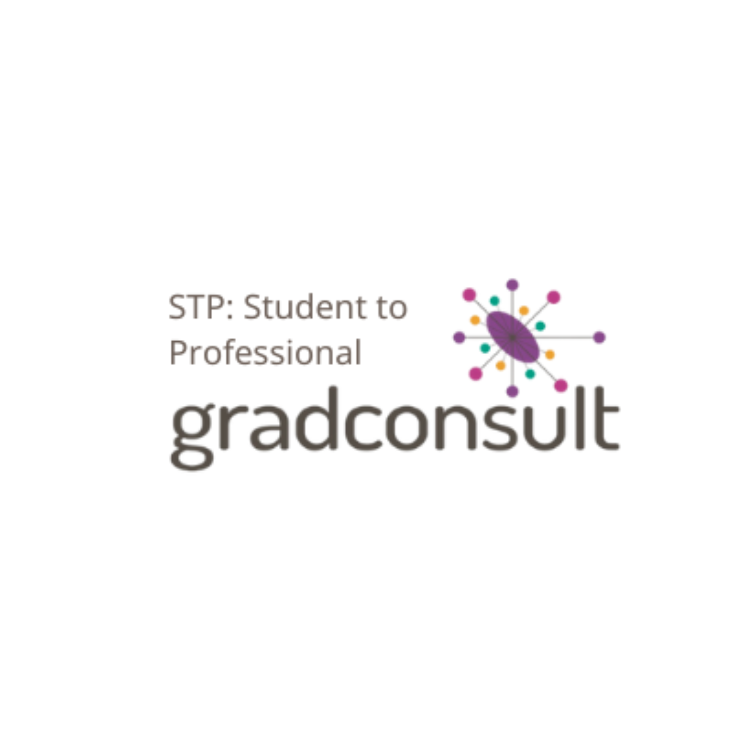 Mapping the transition from student to professional