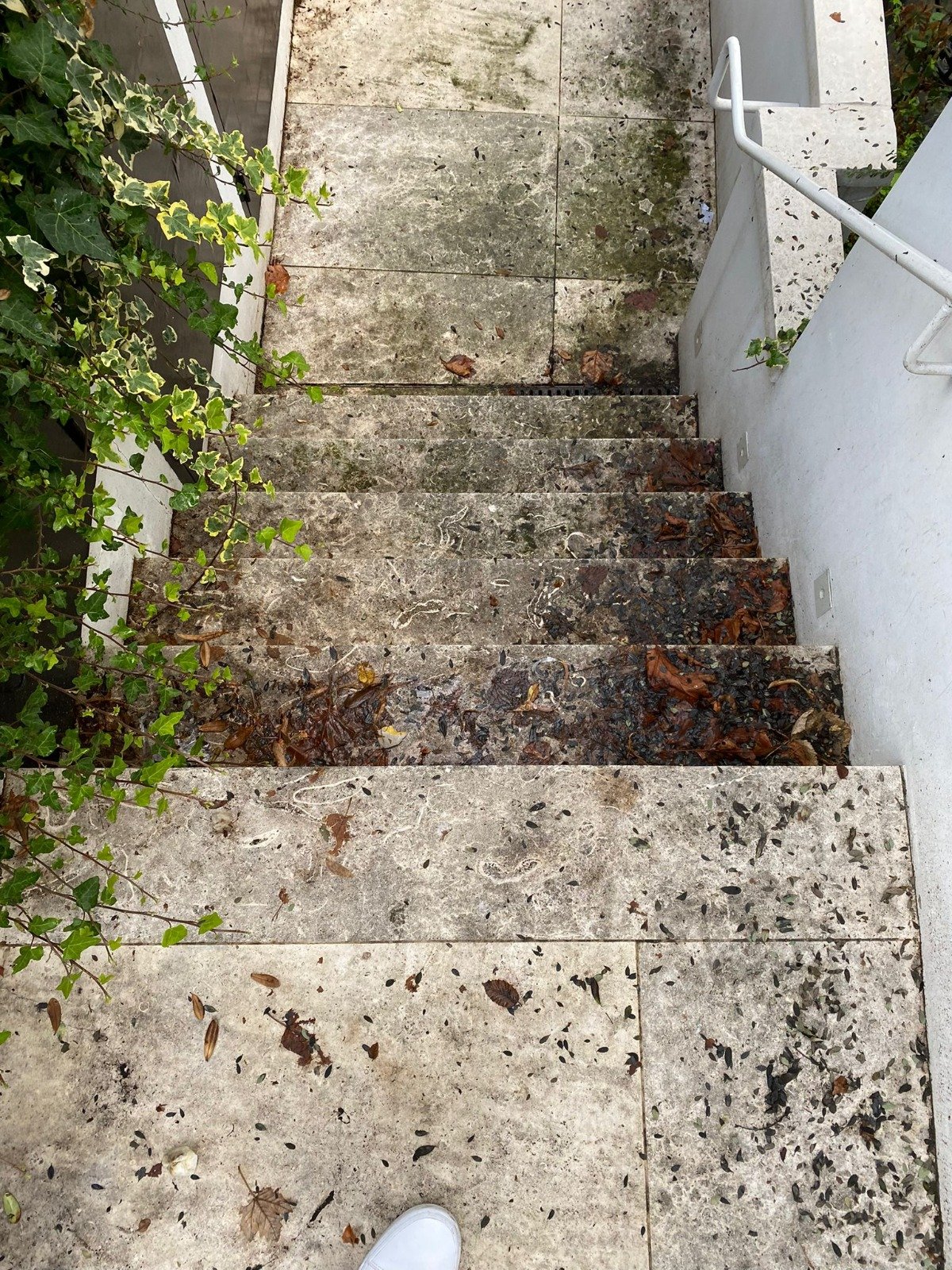 b067c2fa-8875-40c9-8607-6c9370137bf8.jpg