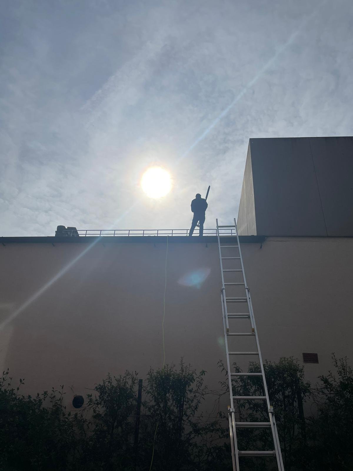 Window cleaning in Kensal Rise