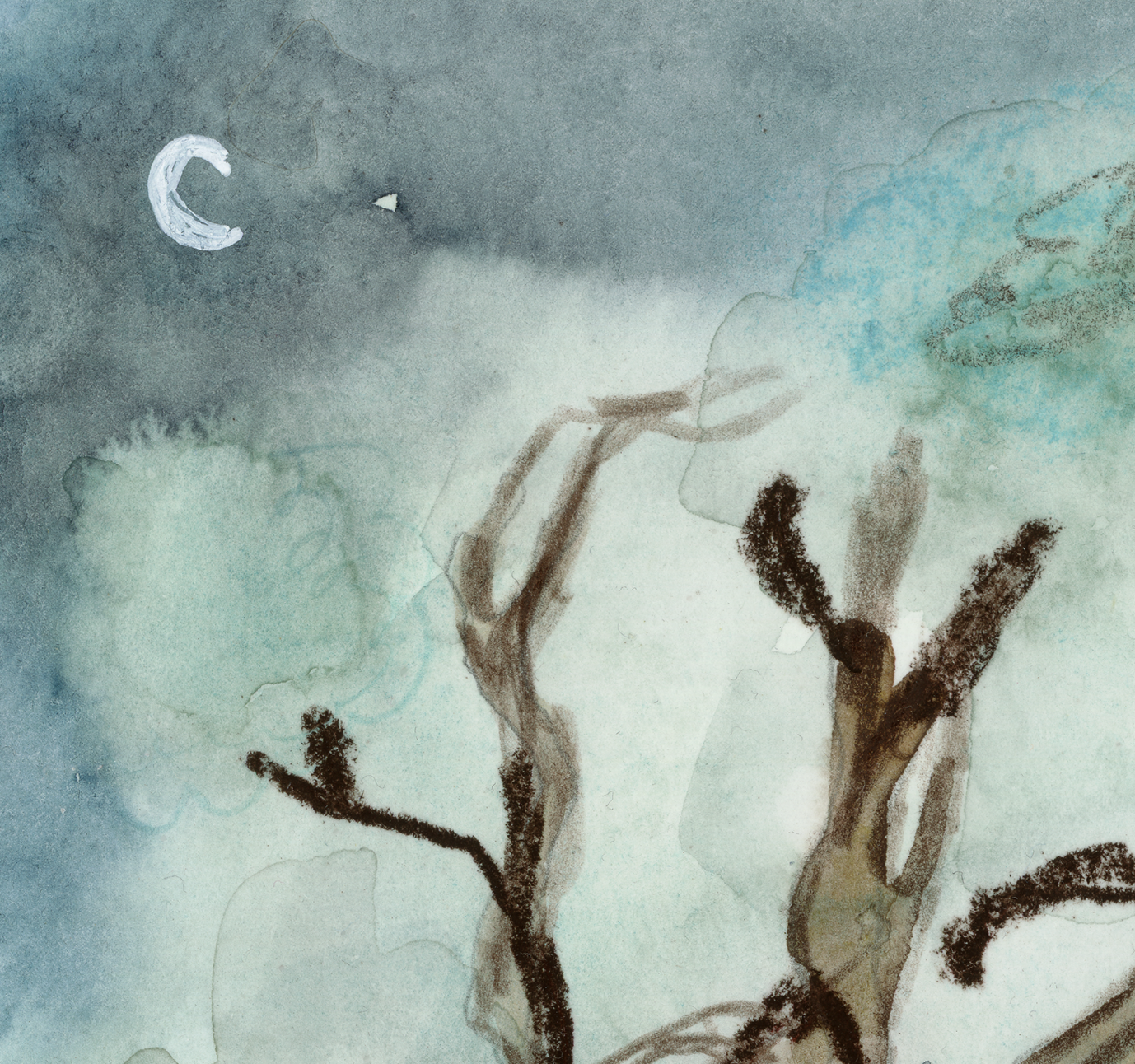 Bildschirmfoto 2026-02-26 um 13.12.05.png